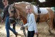 Ein etwa 10jähriges Mädchen mit blonden Haaren führt ein hellbraunes Pferd. Sie lächelt stolz in die Kamera. 