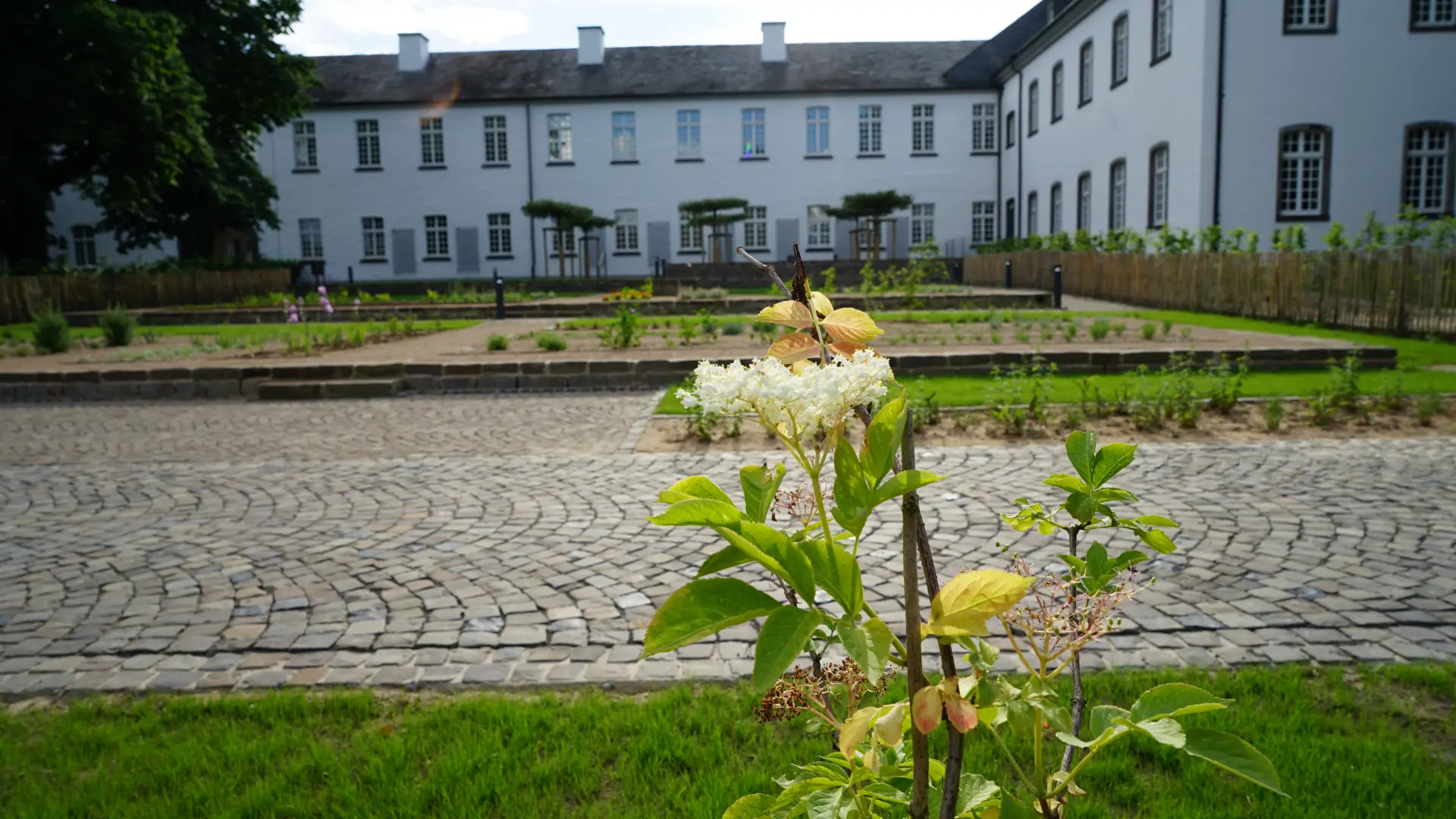 Foto von Pflanzen im Klostergarten