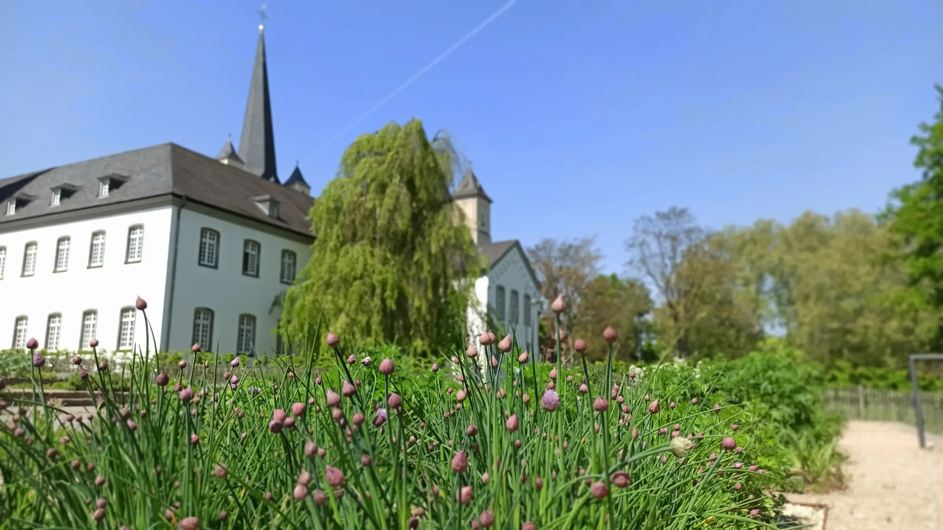 Foto der Rückseite der Abteikirche