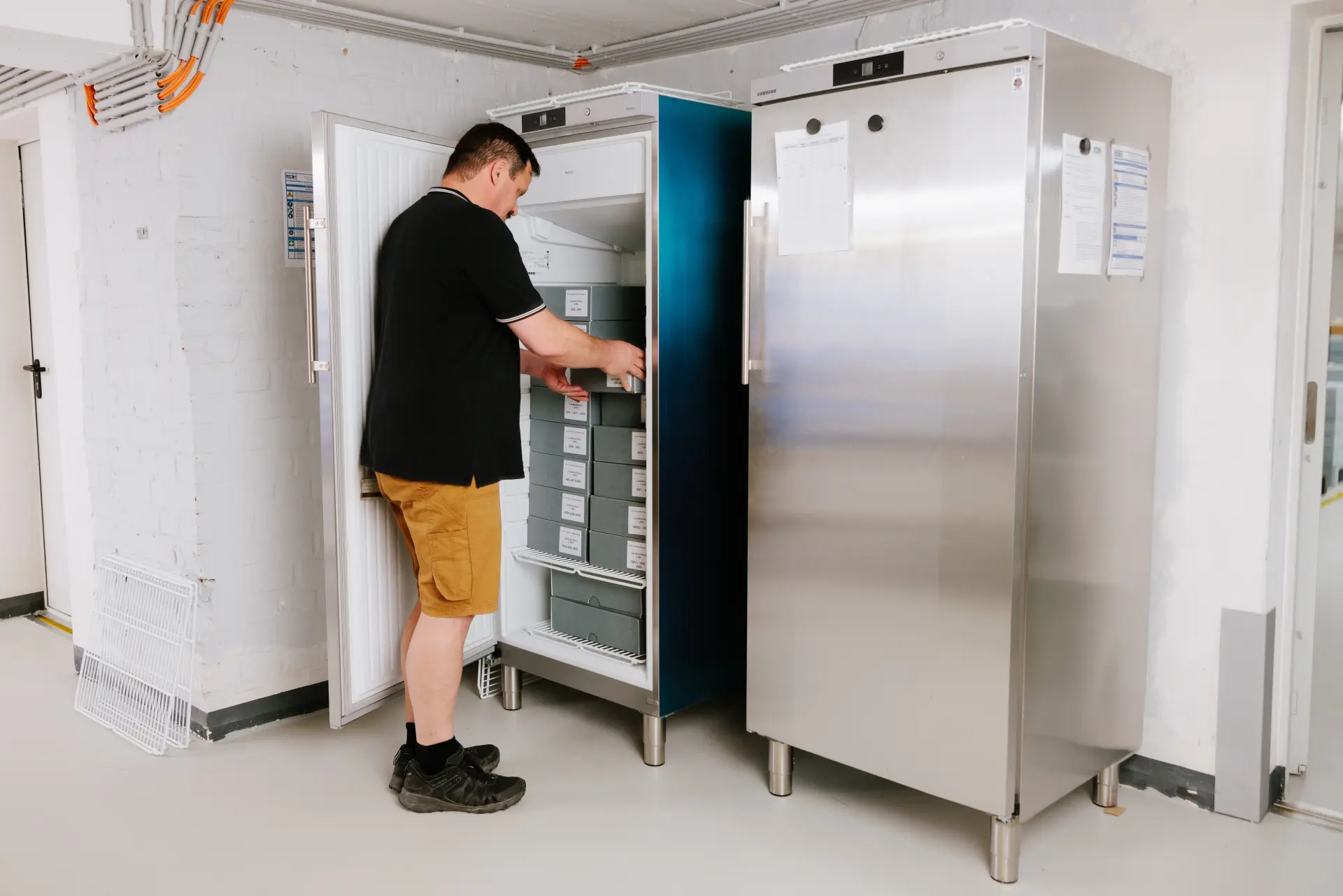 Eine Person stellt Archivkartons in einen Gefrierschrank