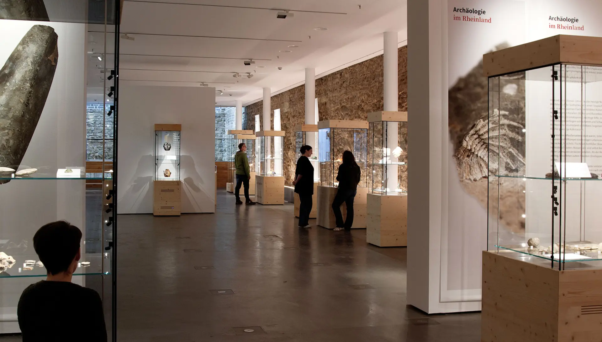 Archäologie im Rheinland 2026 - Eingangsbereich und Blick auf die Vitrinen der Ausstellung