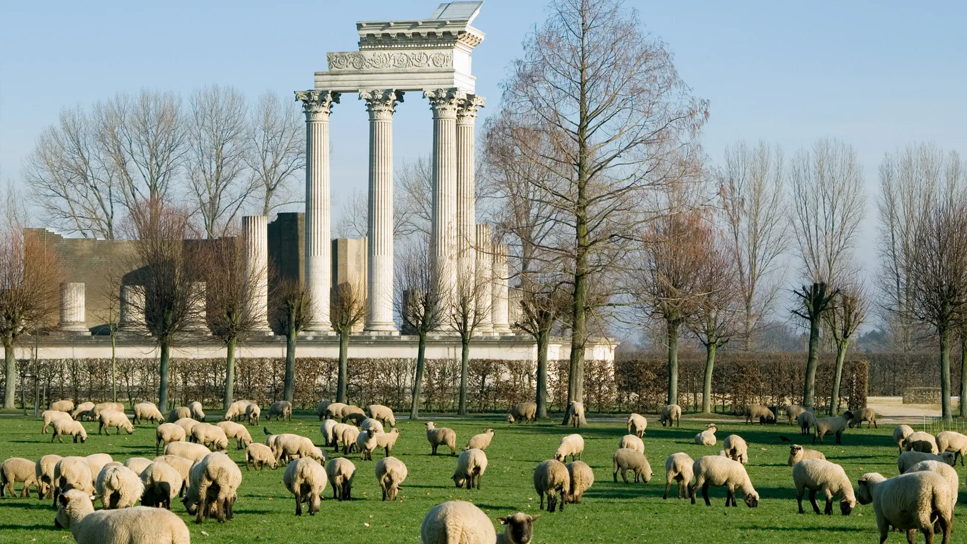 Hafentempel, im Vordergrund Schafe auf der Wiese