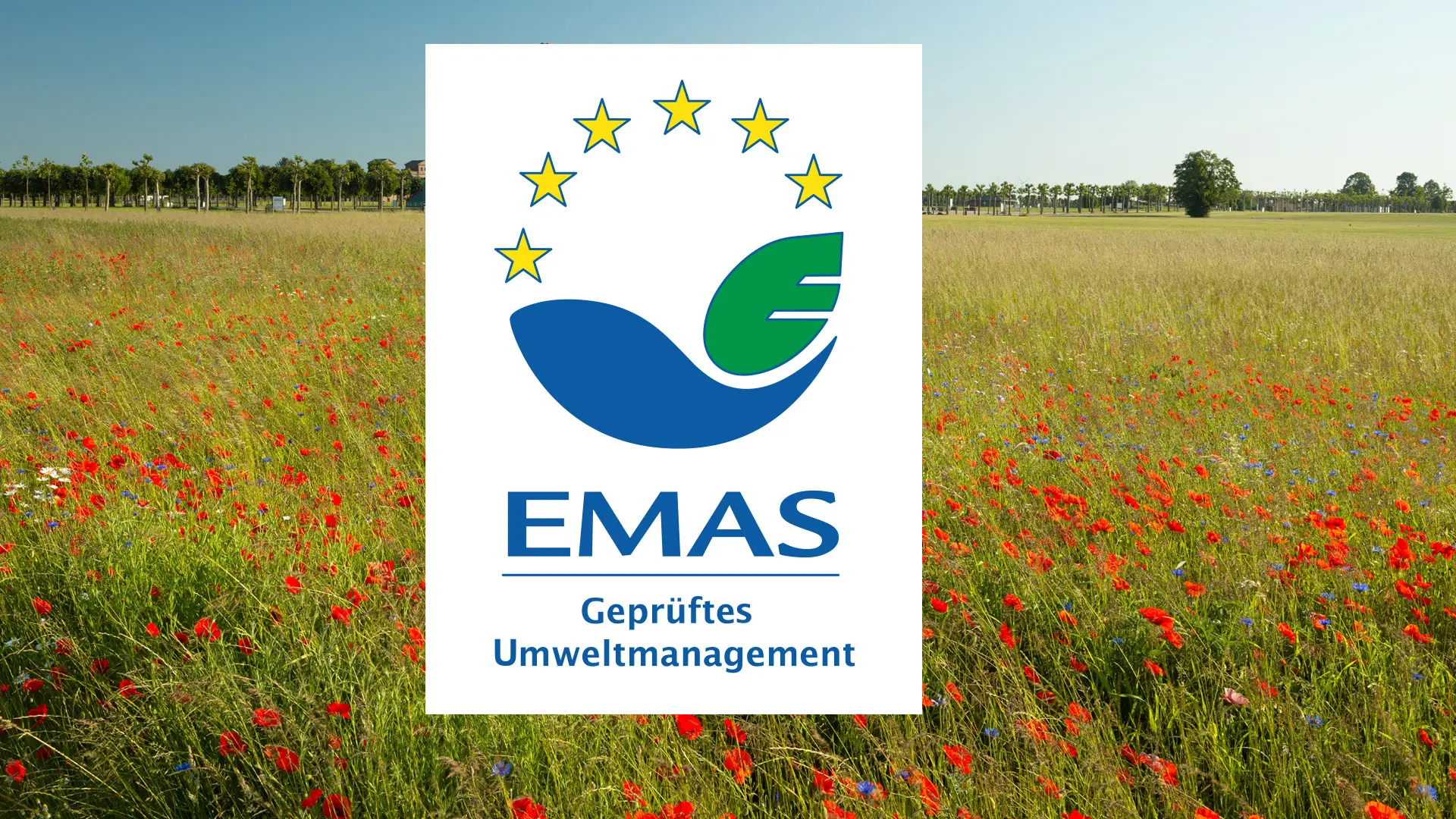 EMAS-Logo vor Wildblumenwiese im Patrk (Fotomontage)