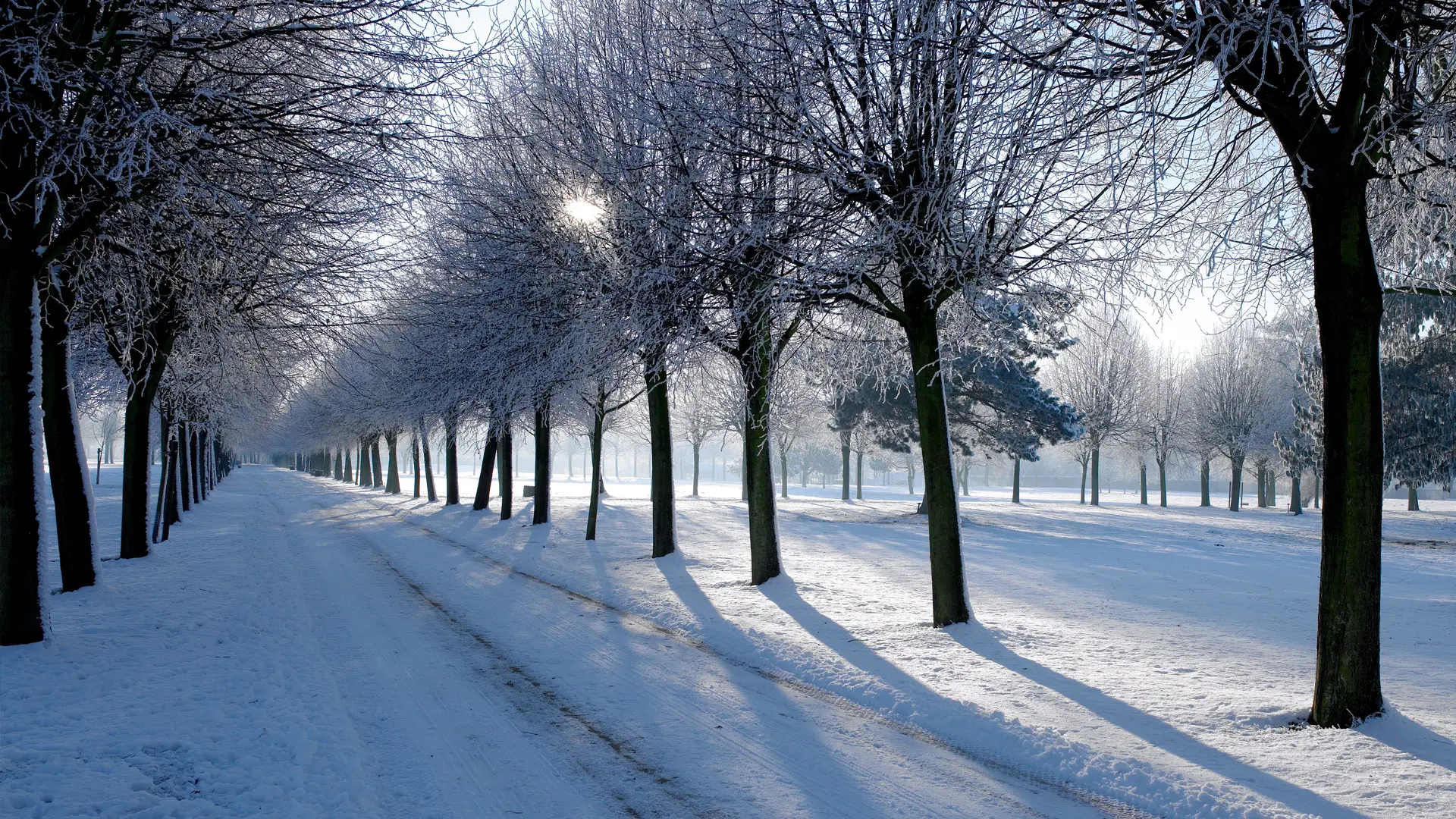 Zentralperspektive eine winterliche Parkallee hinunter, alles ist von Schnee bedeckt
