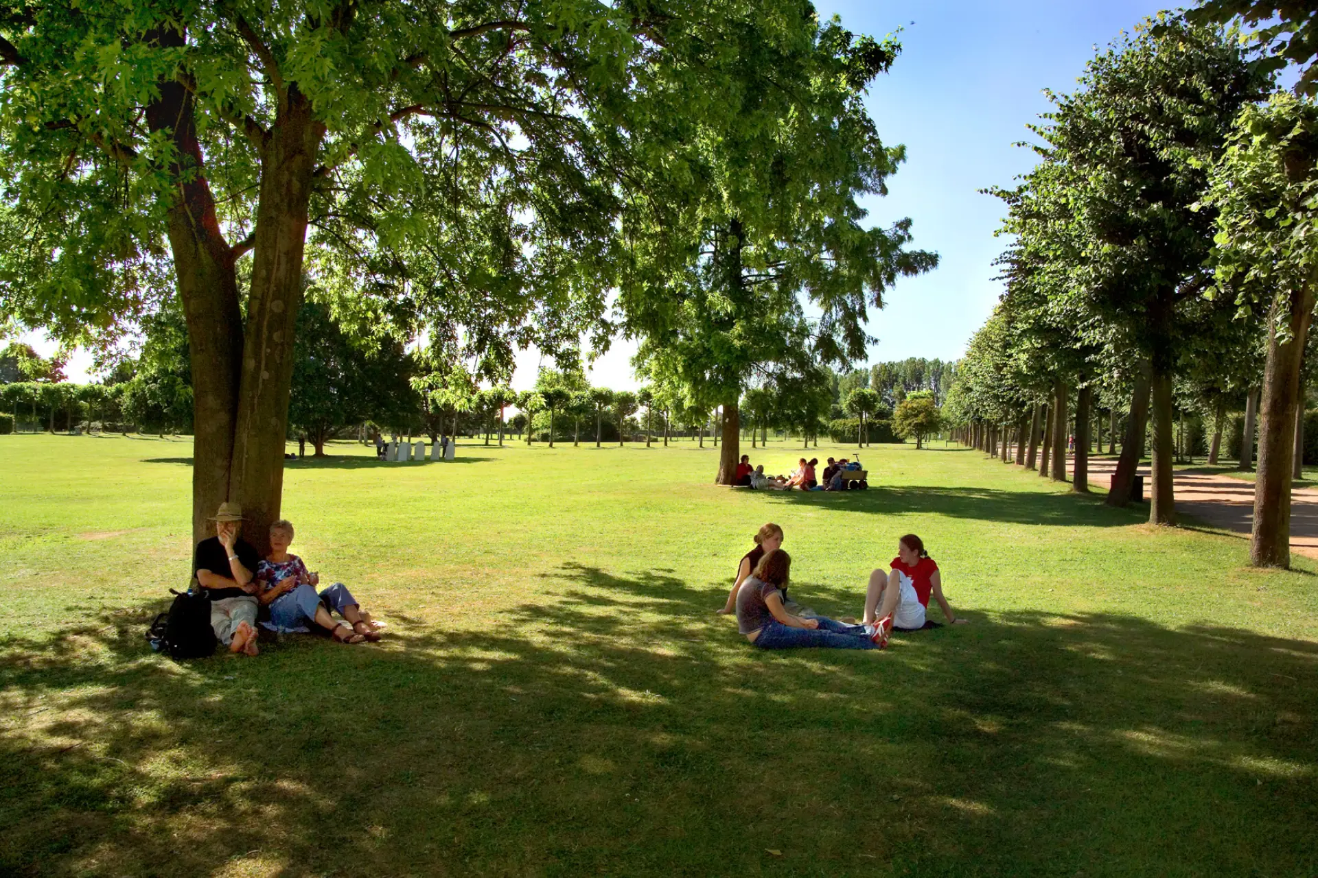 Leute picknicken auf einer Wiese