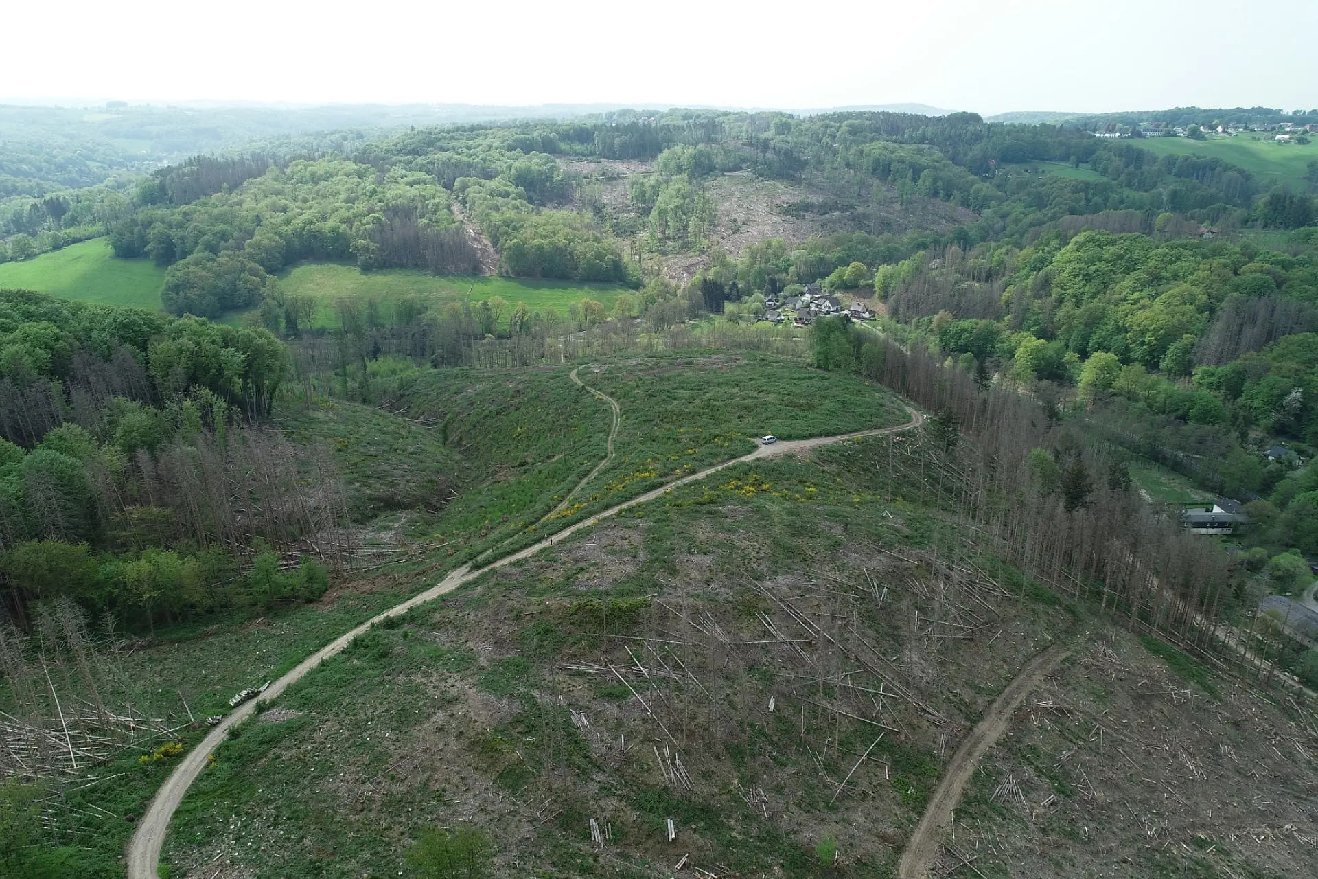 Hügellandschaft aus der Vogelperspekive. Im Vordergrund liegen gefällte Holzstämme. Im Hintergrund sind wenige Häuser und bewaldete Fläche. 