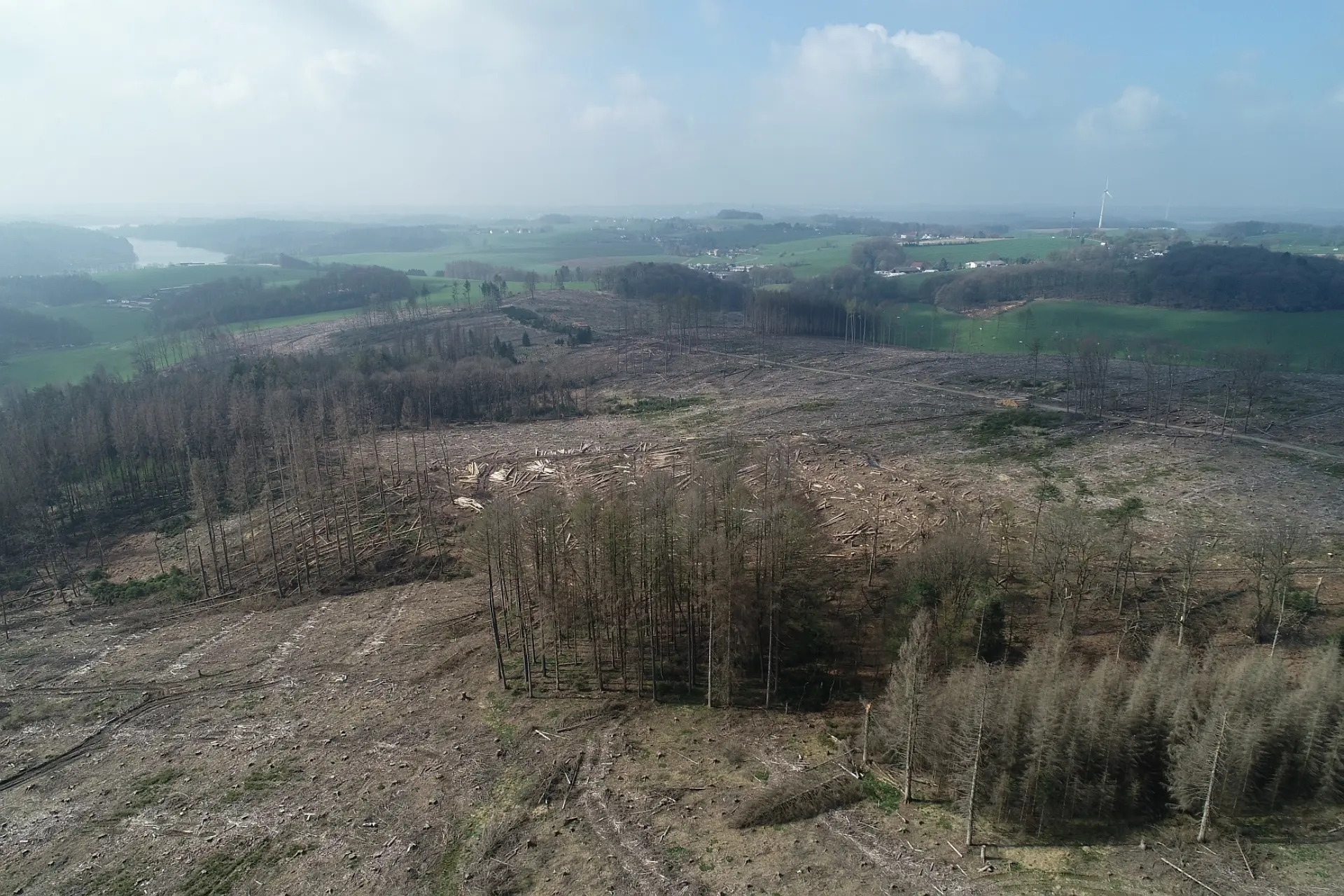 Landschaftsbild mit zum Teil abgeholzten Wäldern. Die Landschaft ist hügelig und vereinzelt sind kleiner Häusergruppen erkennbar.