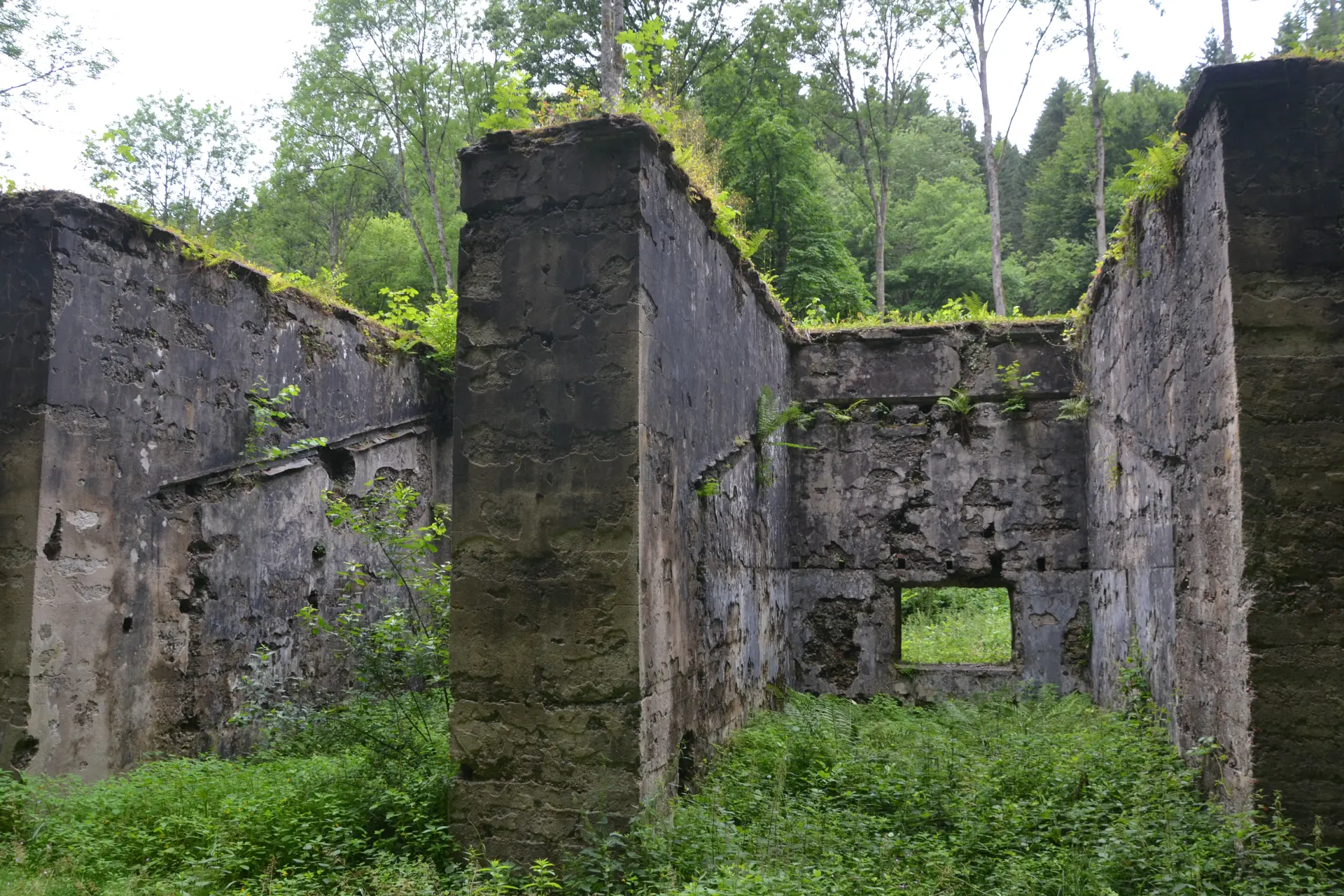Die Ruine einer Pulvermühle. Um und auf den Mauern sind viele grüne Pflanzen.