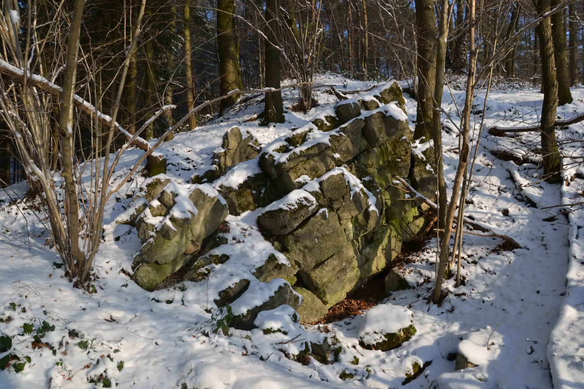 Die Reste eines gesprengten Betonunterstandes im Wald. Auf den Überresten liegt eine dünne Schneeschicht.