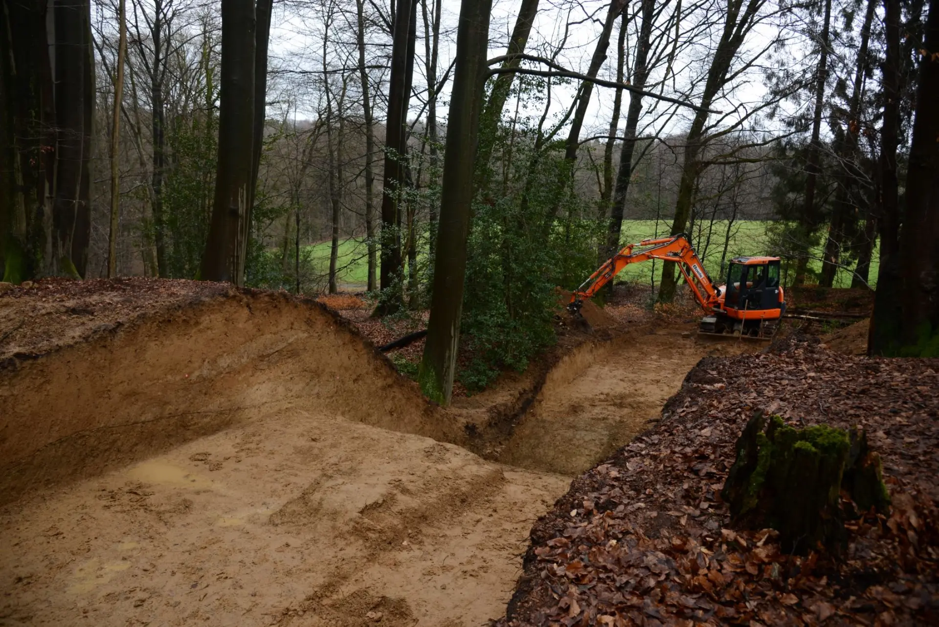 Kartierung der Wallanlagen