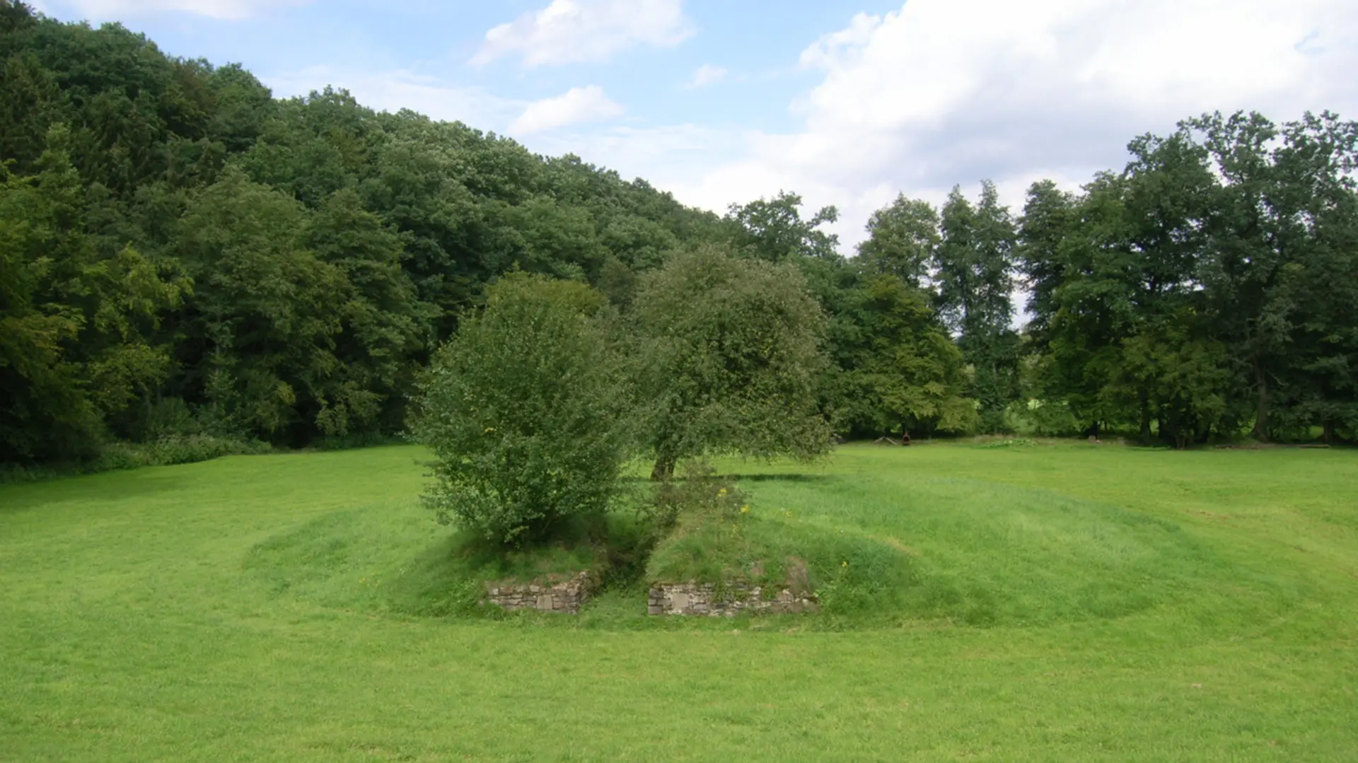 Blick auf einen kleinen grasbewachsenen Hügel mit zwei Bäumen, der inmitten einer grünen Wiese liegt, die wiederum von dichten Bäumen gesäumt ist.
