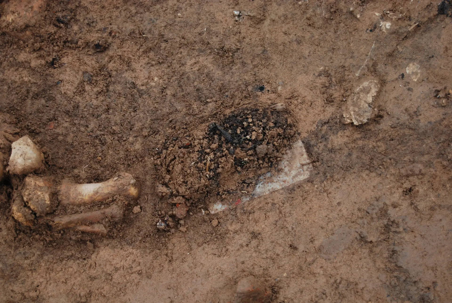 Detailaufnahme einer archäologischen Grabung: In feuchter Erde liegen freigelegte Knochenfragmente neben teilweise sichtbaren Grabbeigaben, die noch von Erdmaterial bedeckt sind.