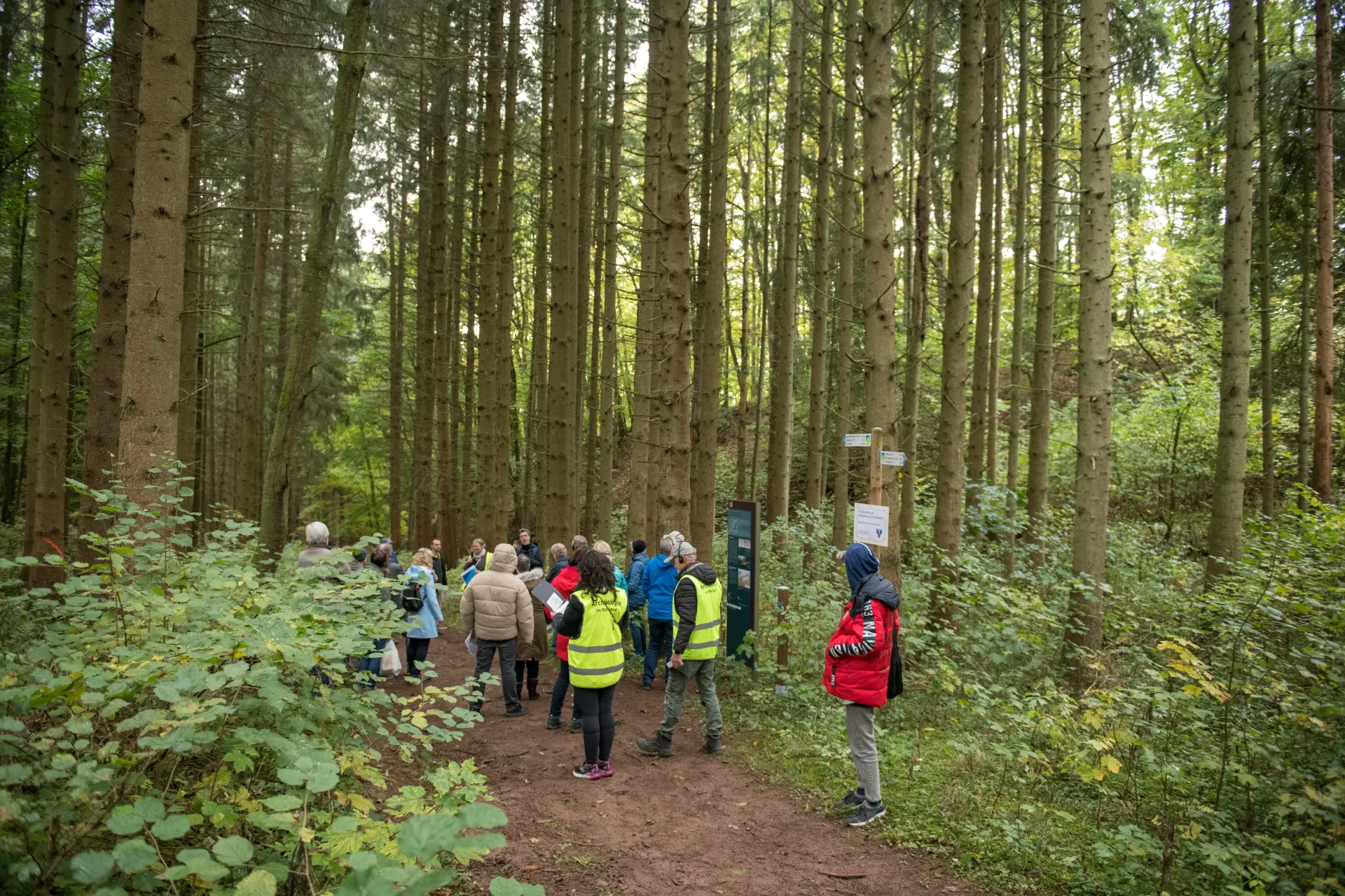 Eine Gruppe Personen steht auf einem Waldweg umgeben von Bäumen. 