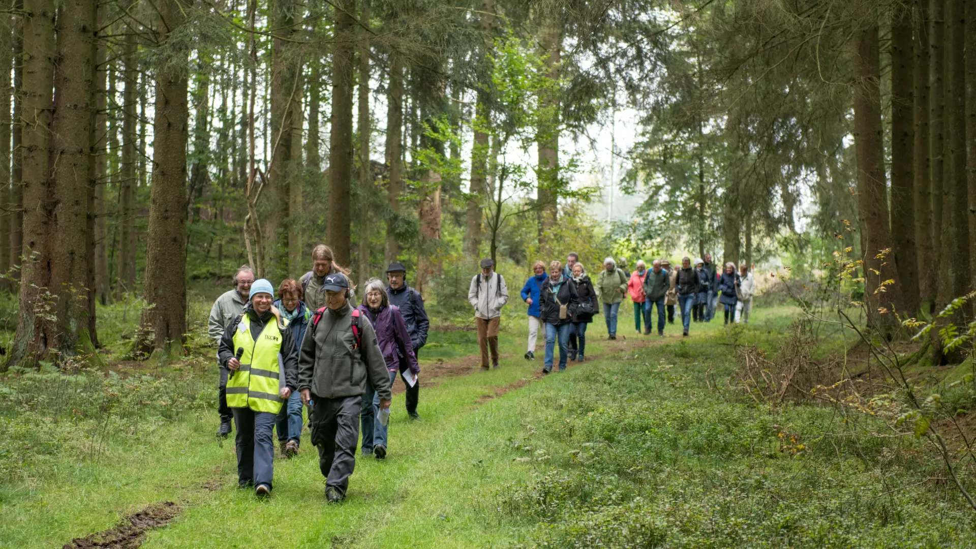 Mehrere Menschen unterschiedlichen Alters gehen hintereinander auf einem Waldweg, vorne geht eine Frau mit einer Warnweste und einem Mikro in der Hand, der Weg wird flankiert von grünen Nadelbäumen