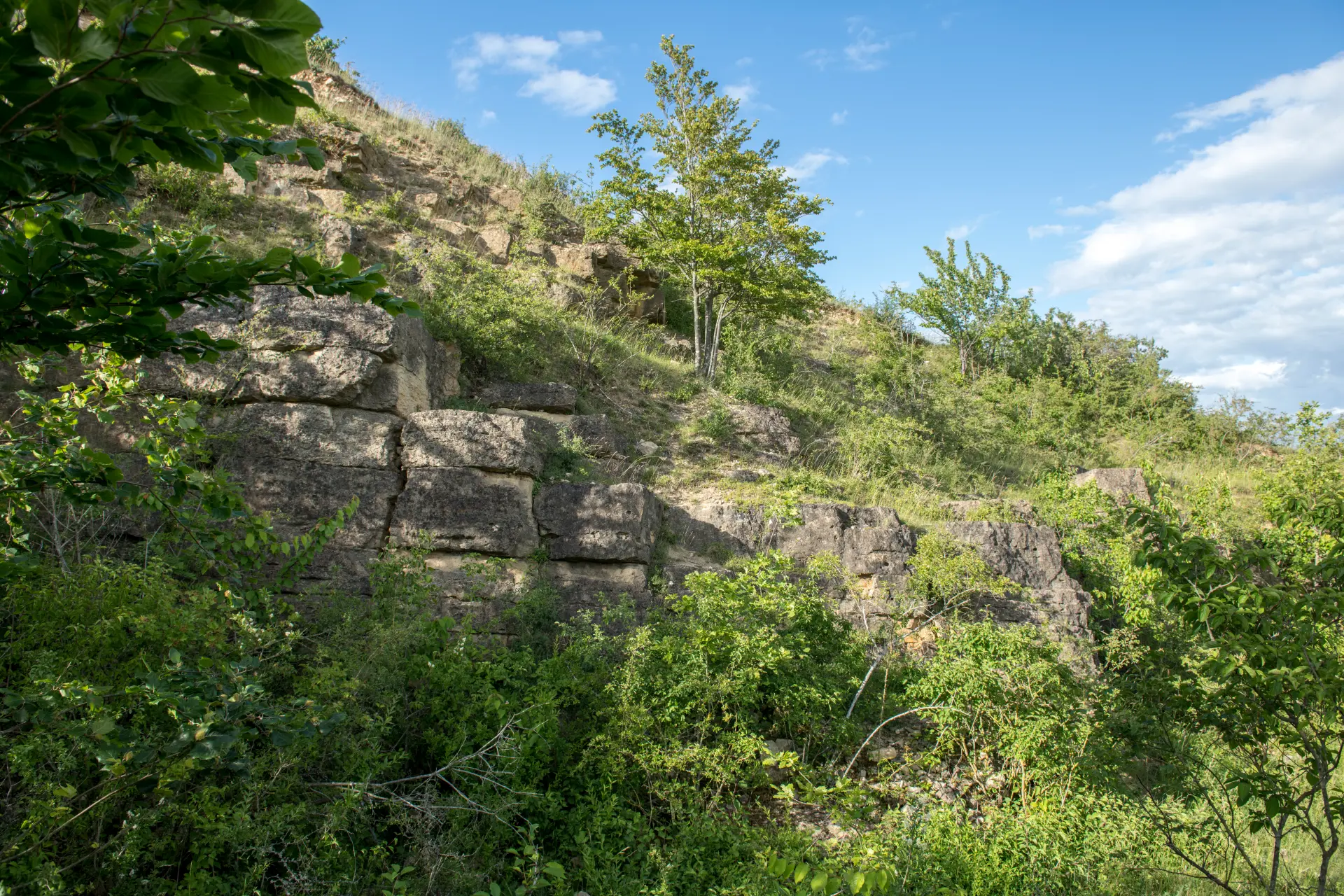 Blick auf eine dunkelgraue Felswand, die teilweise von grünem Gras und Gebüsch überwachsen ist.