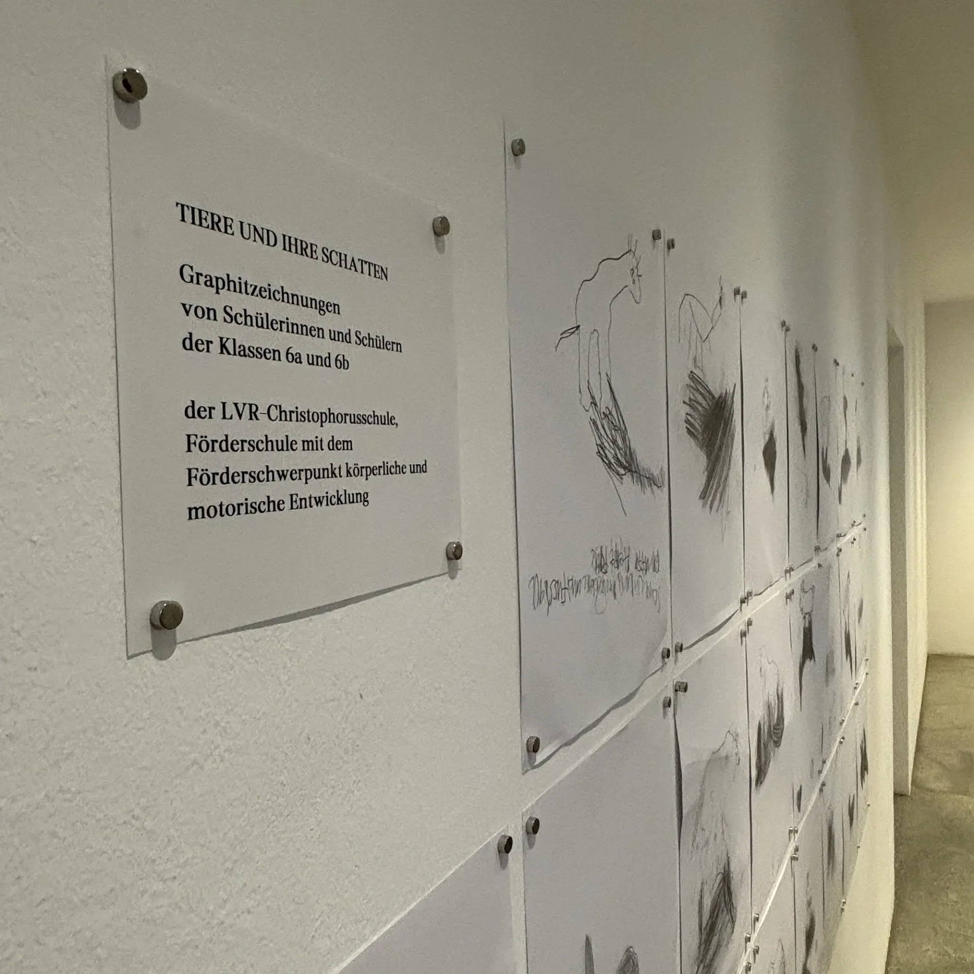 Nahaufnahme einer Ausstellungswand aus einer seitlichen Perspektive. Es sind mehrere gezeichnete Tierbilder ordentlich in Reihen an der Wand angebracht.