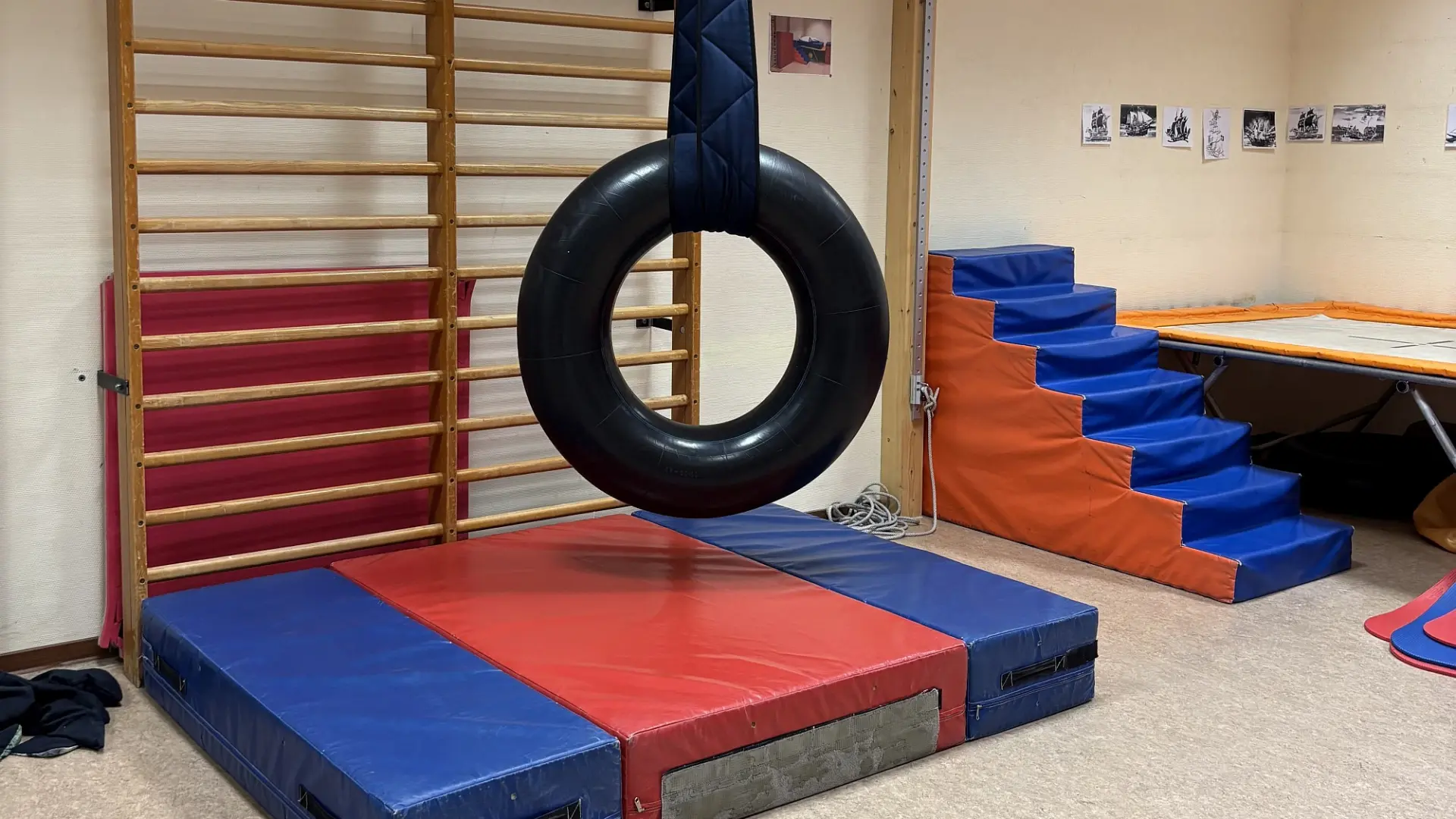 Ein Therapieraum unter anderem mit einer Sprossenwand, einer dicken Schutzmatte und einem großen Reifen, der von der Decke hängt.