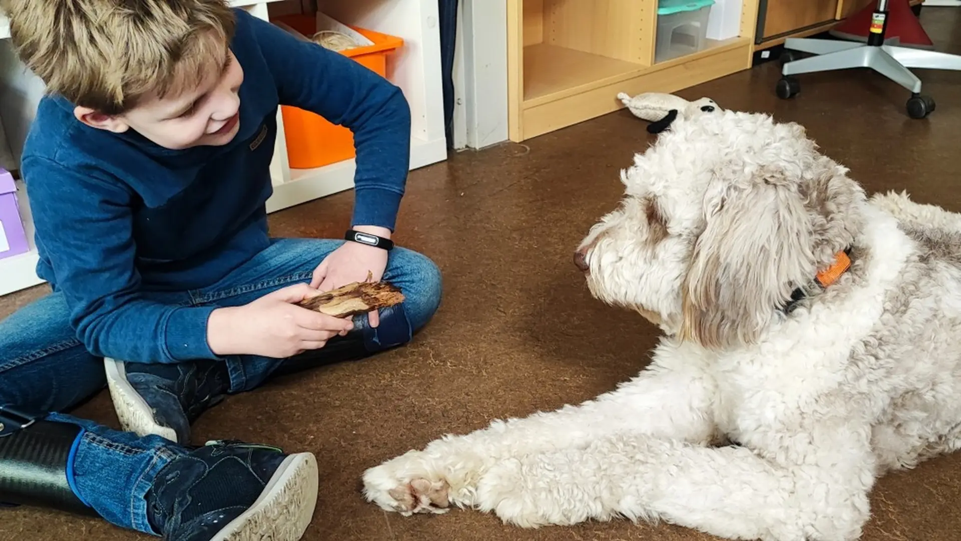 Therapiehund arbeitet mit Kind