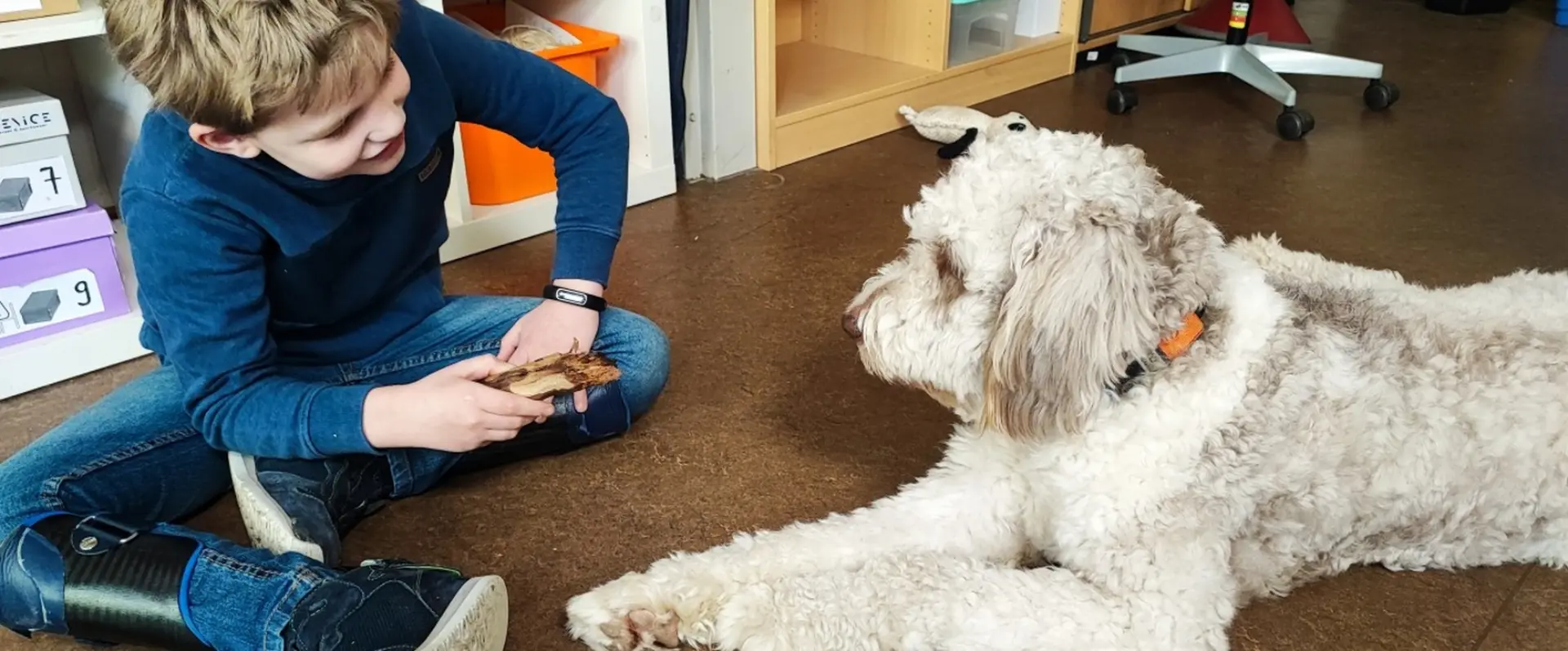 Therapiehund arbeitet mit Kind