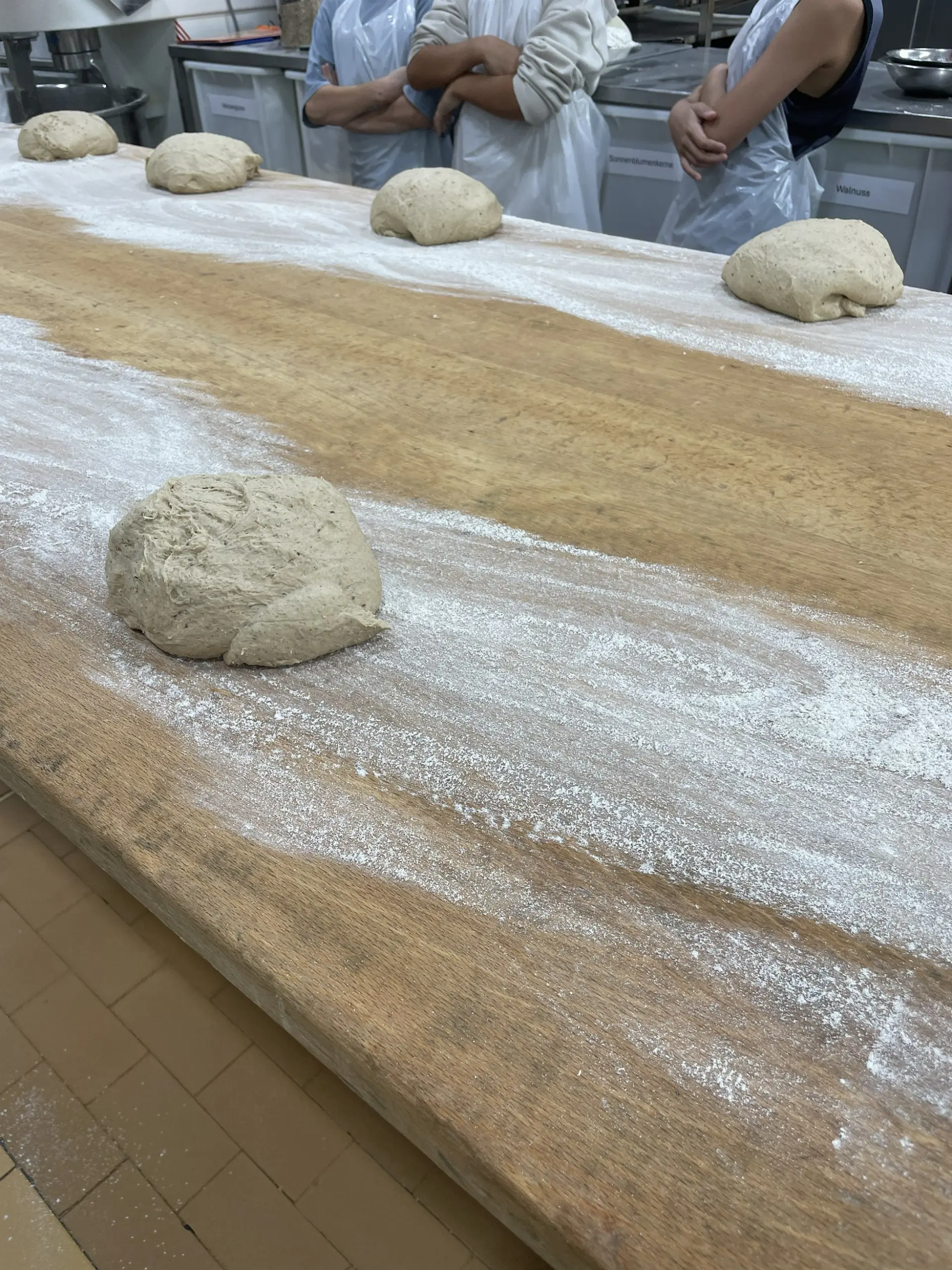 Auf einem bemehlten Tisch liegen runde Brot-Rohlinge.