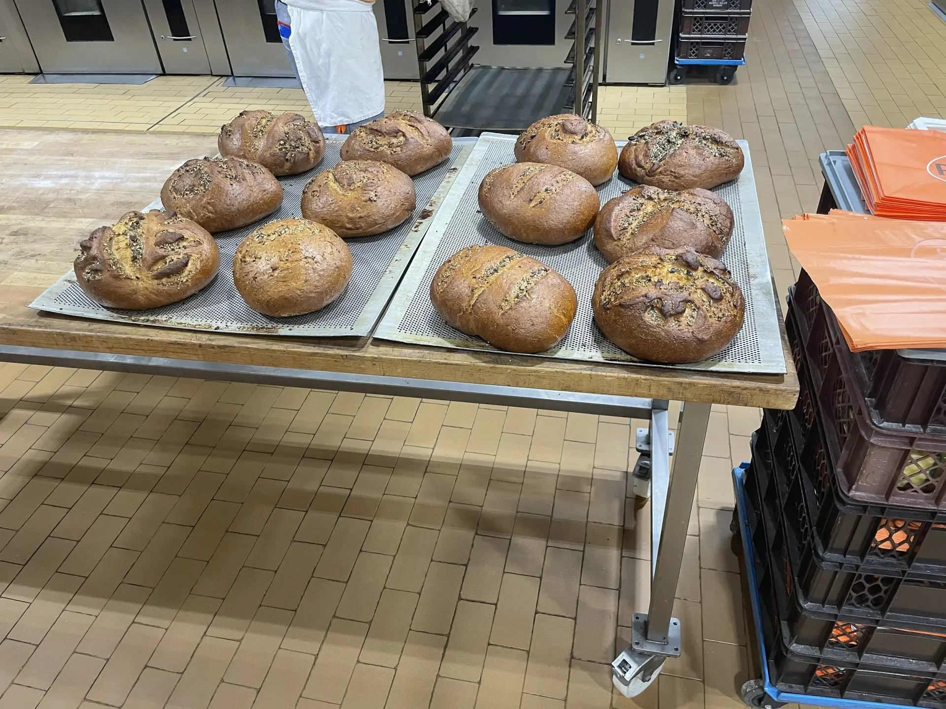 Frisch gebackene Brotlaibe liegen auf einem großen Gitterrost.