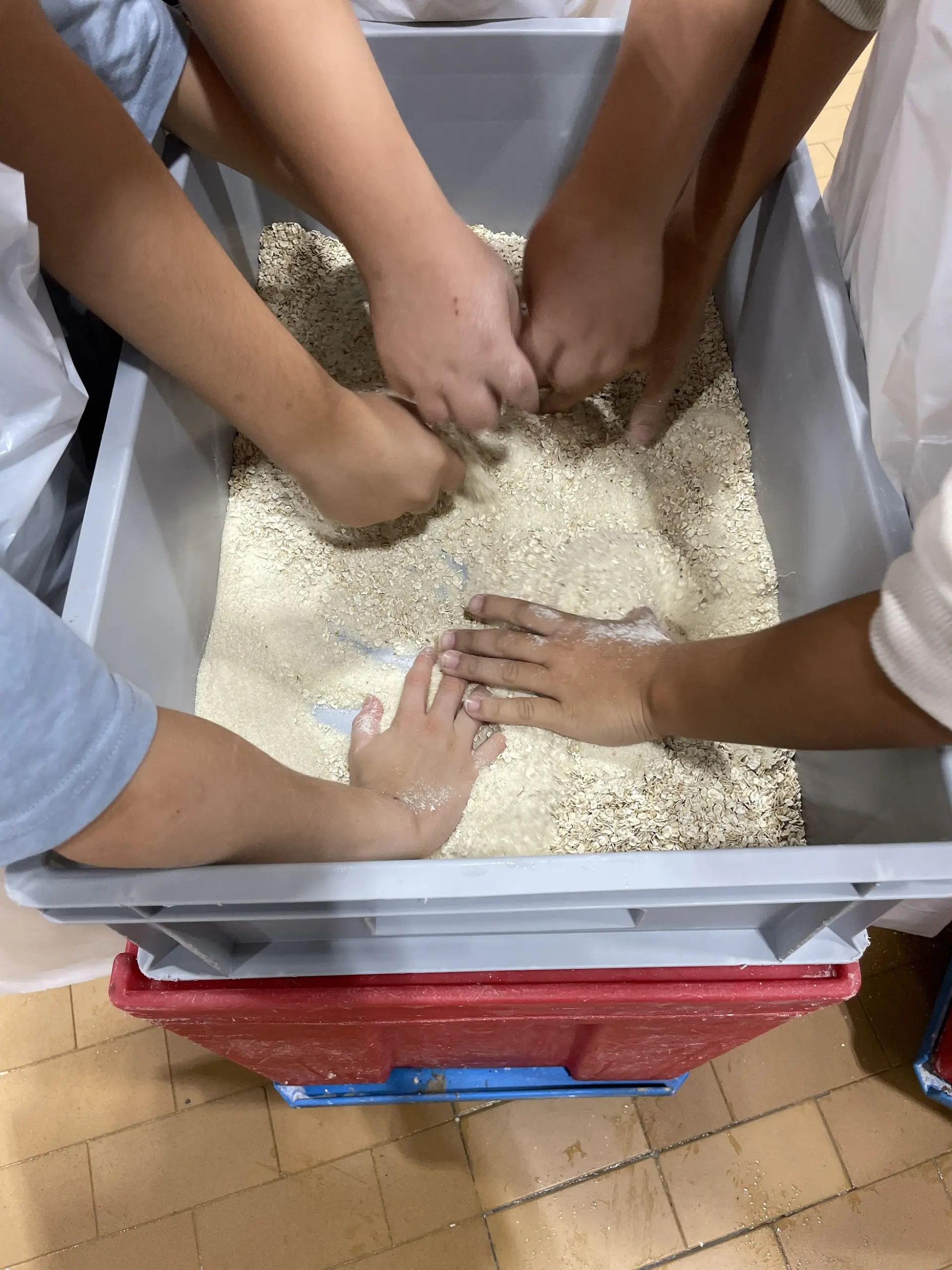 In einem großen Plastikbehälter mischen Kinderhände verschiedene Mehlsorten.