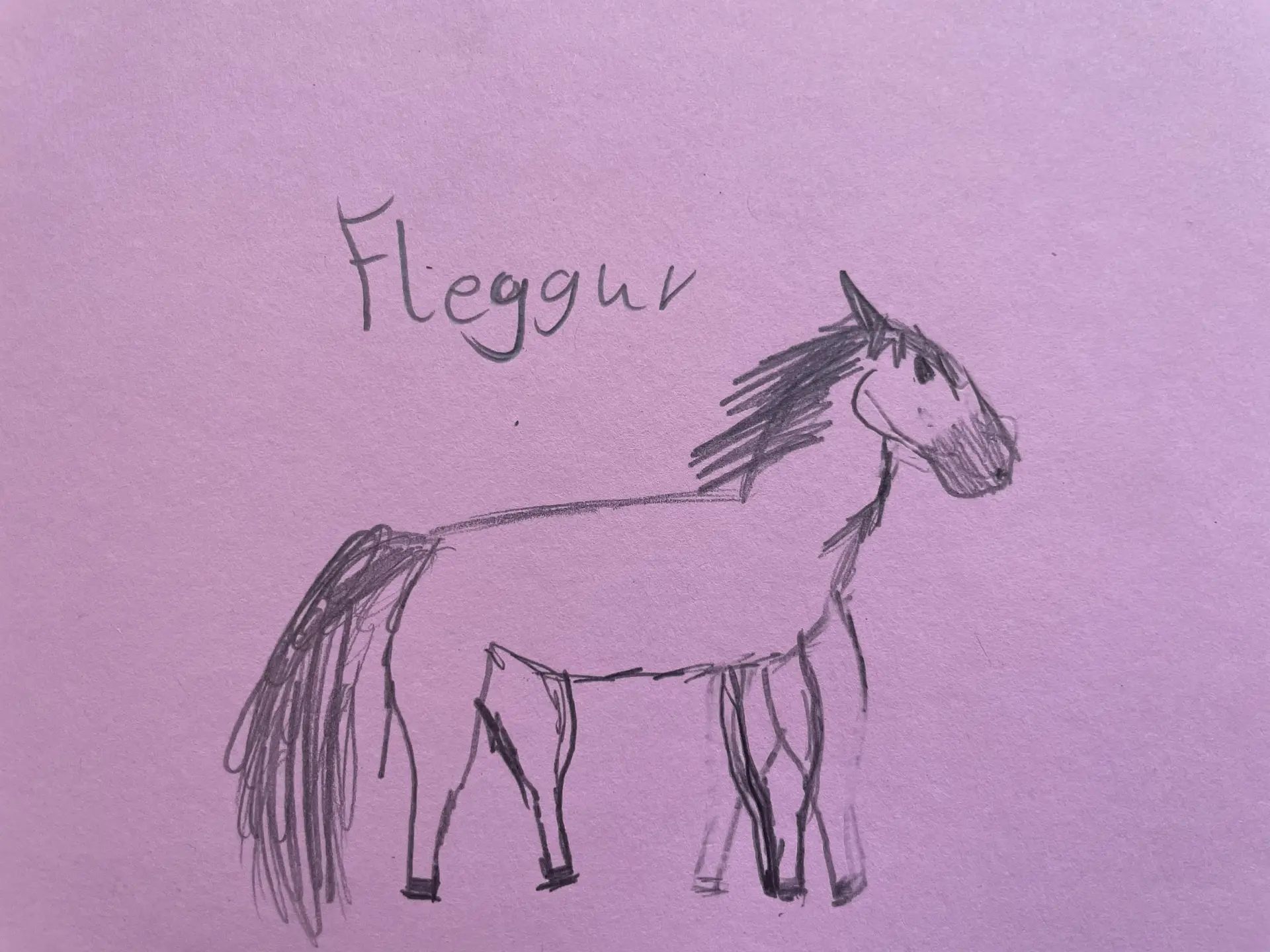 Bleistiftzeichnung eines Pferdes, darauf ist der Name "Fluggur" notiert.
