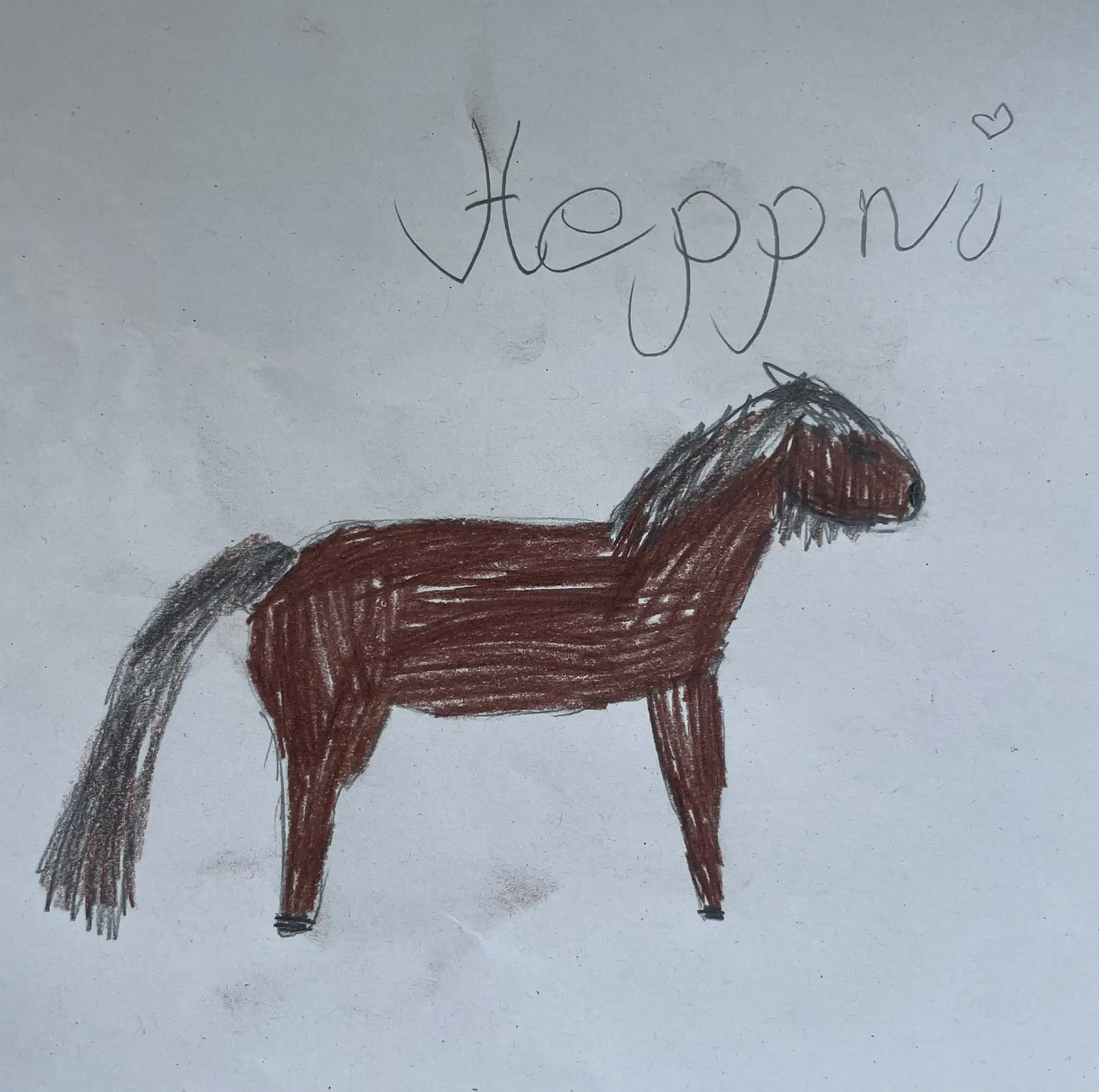 Buntstiftzeichnung eines Pferdes, dessen Name "Heppni" auf dem Blatt notiert ist.