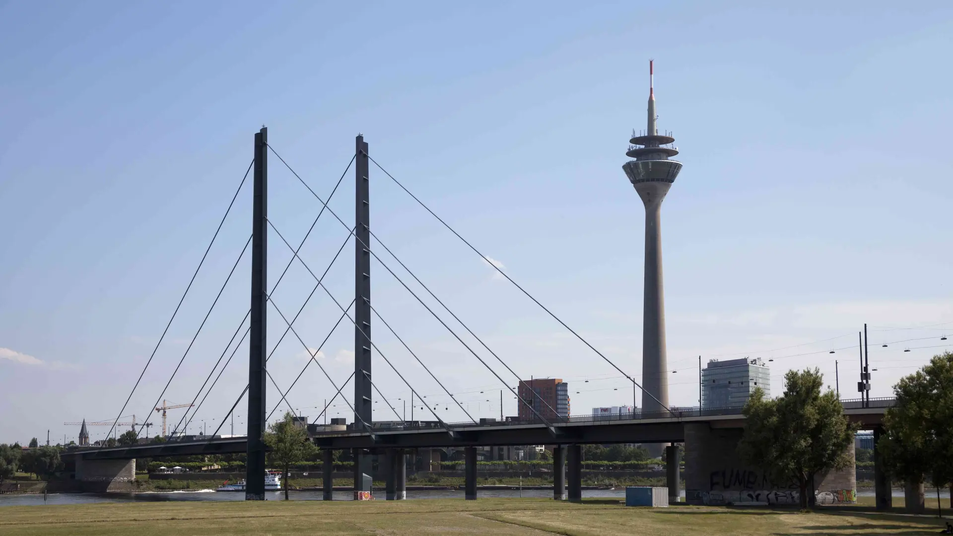 Ansicht einer Schrägseilbrücke über den Rhein in Düsseldorf, im Vordergrund sind die Rheinwiesen zu sehen, im Hintergrund ragt der Fernsehturm aus der Skyline hervor. 