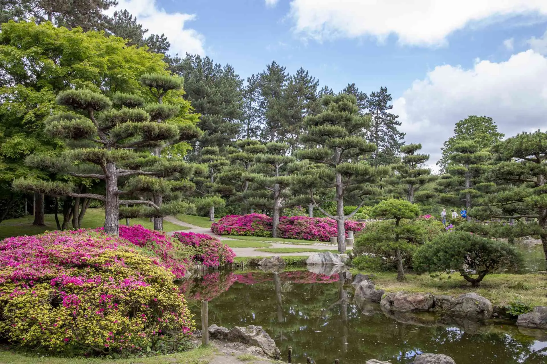 Blick von Südosten über den Teich des Japanischen Gartens mit typischer Bepflanzung: Azaleen, Rhododendren, Schwarzkiefern und Fächerahorn, entworfen von den japanischen Garten- und Landschaftsarchitekten Iwakii und Shojiro Ishiguro zwischen 1974 und 1975. 