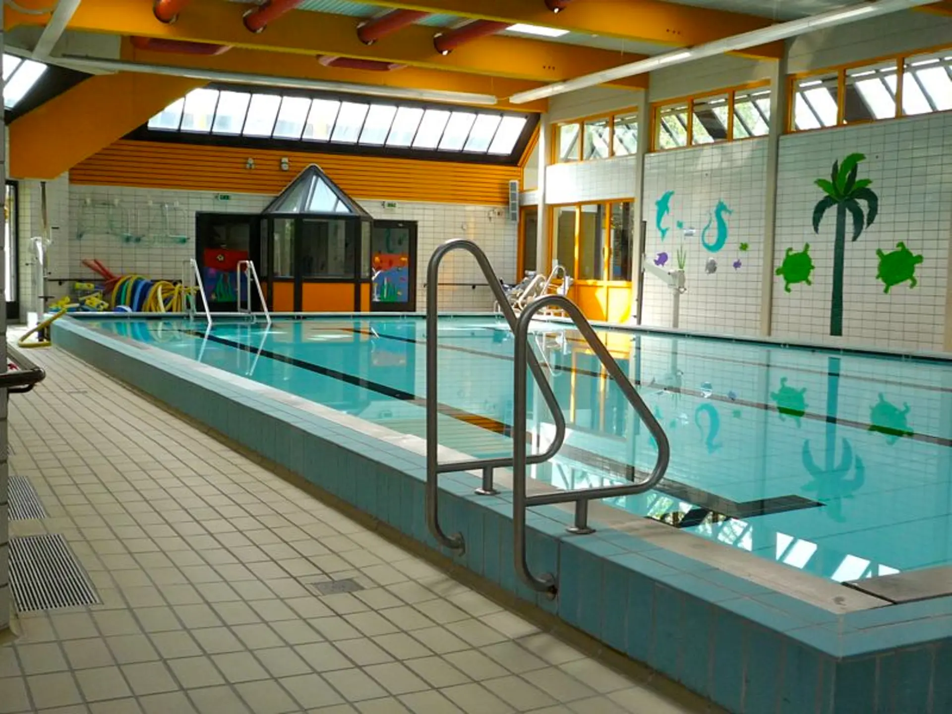 Barrierefreies Therapiebecken mit Haltegriffen, hellen Fliesen und maritimen Wanddekorationen wie Schildkröten und Palmen.