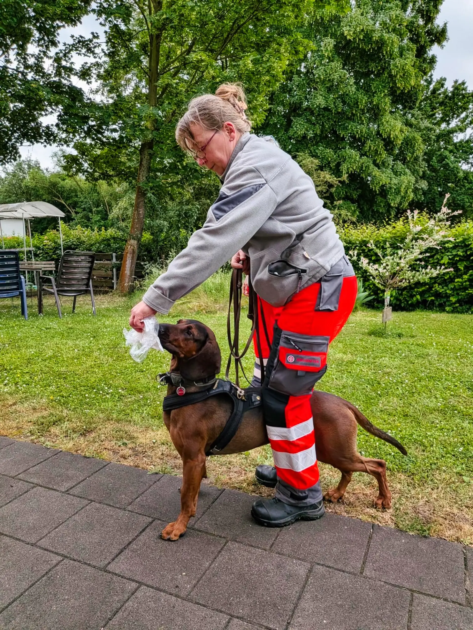 Bild von einem Hund der an einem Tuch schnüffelt.