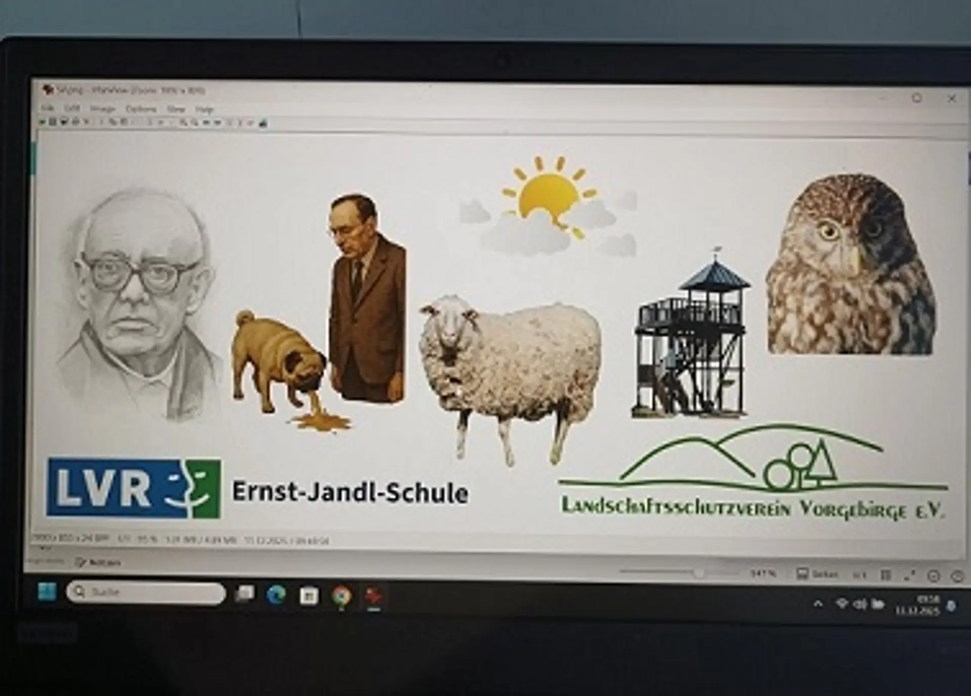 Eine Aufnahme vom Computer-Bildschirm und einem geöffneten Fenster des Bildbearbeitungsprogramm IrfanView. Darauf sind verschiedene kleine freigestellte Bilder auf einem weißen, leeren Hintergrund zu sehen.