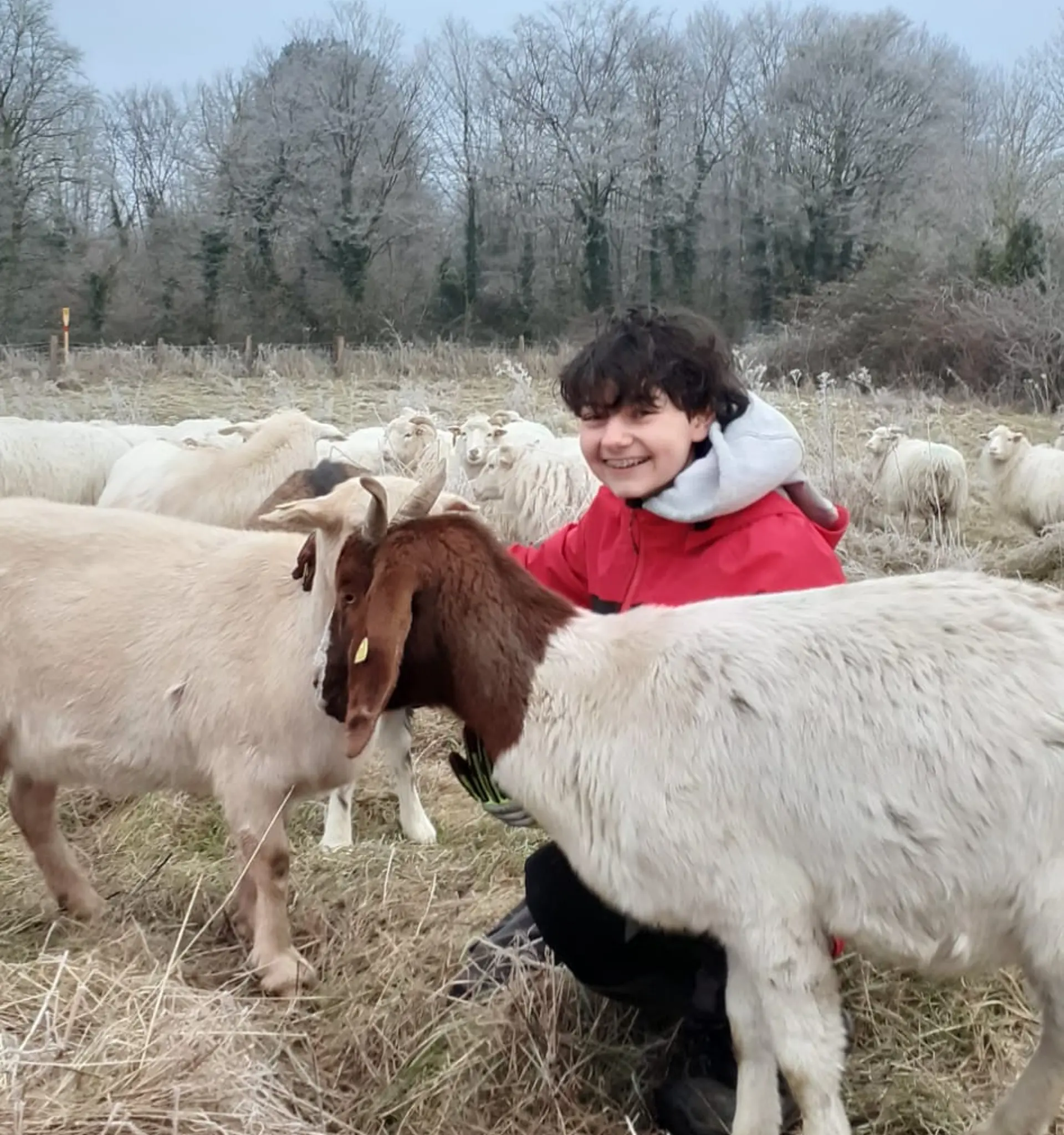 Marley glücklich mit seinen Schützlingen in der Einsatzstelle.
