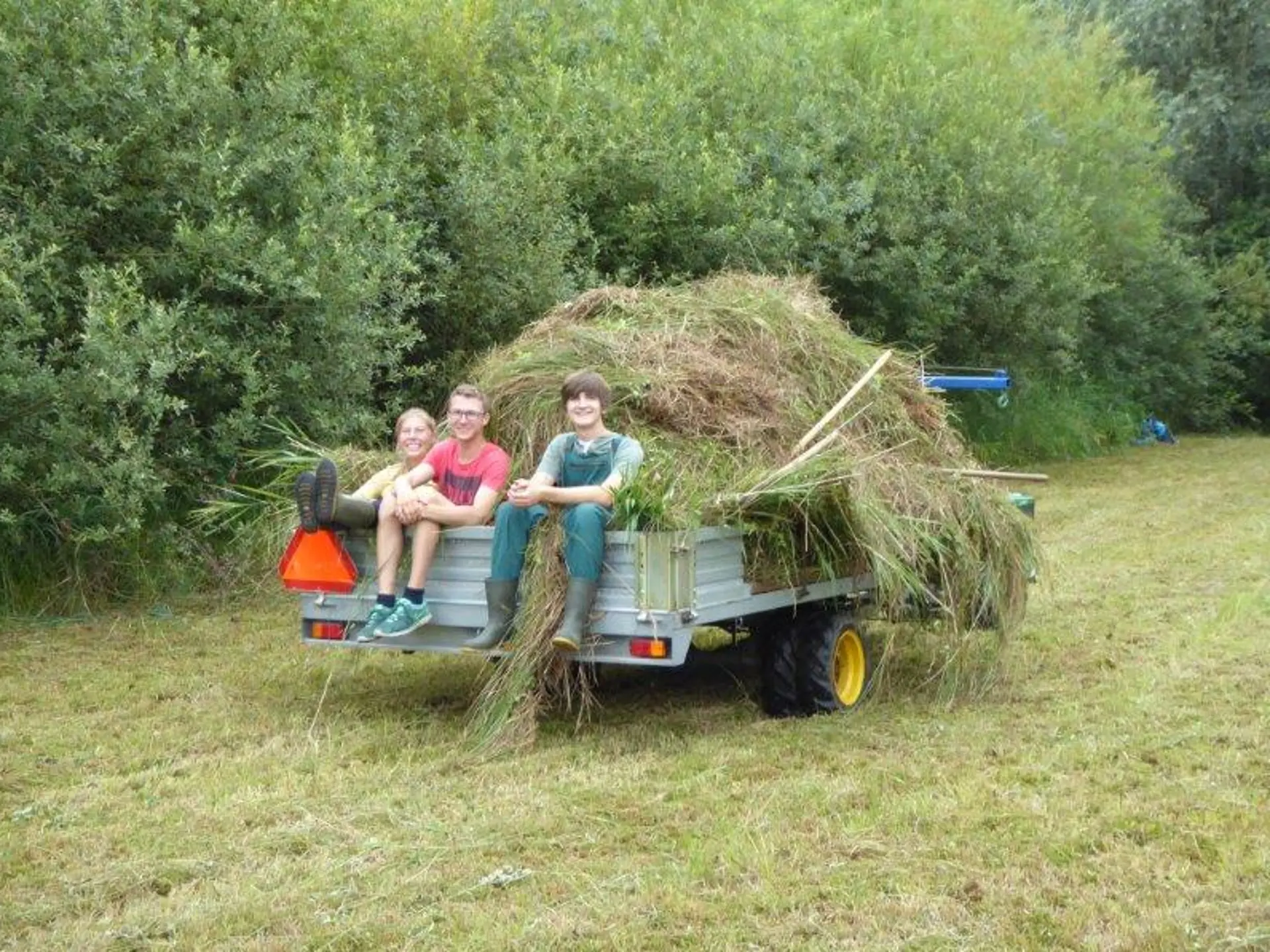 Freiwillige nach getaner Mahd der Wiese auf einem Hänger.