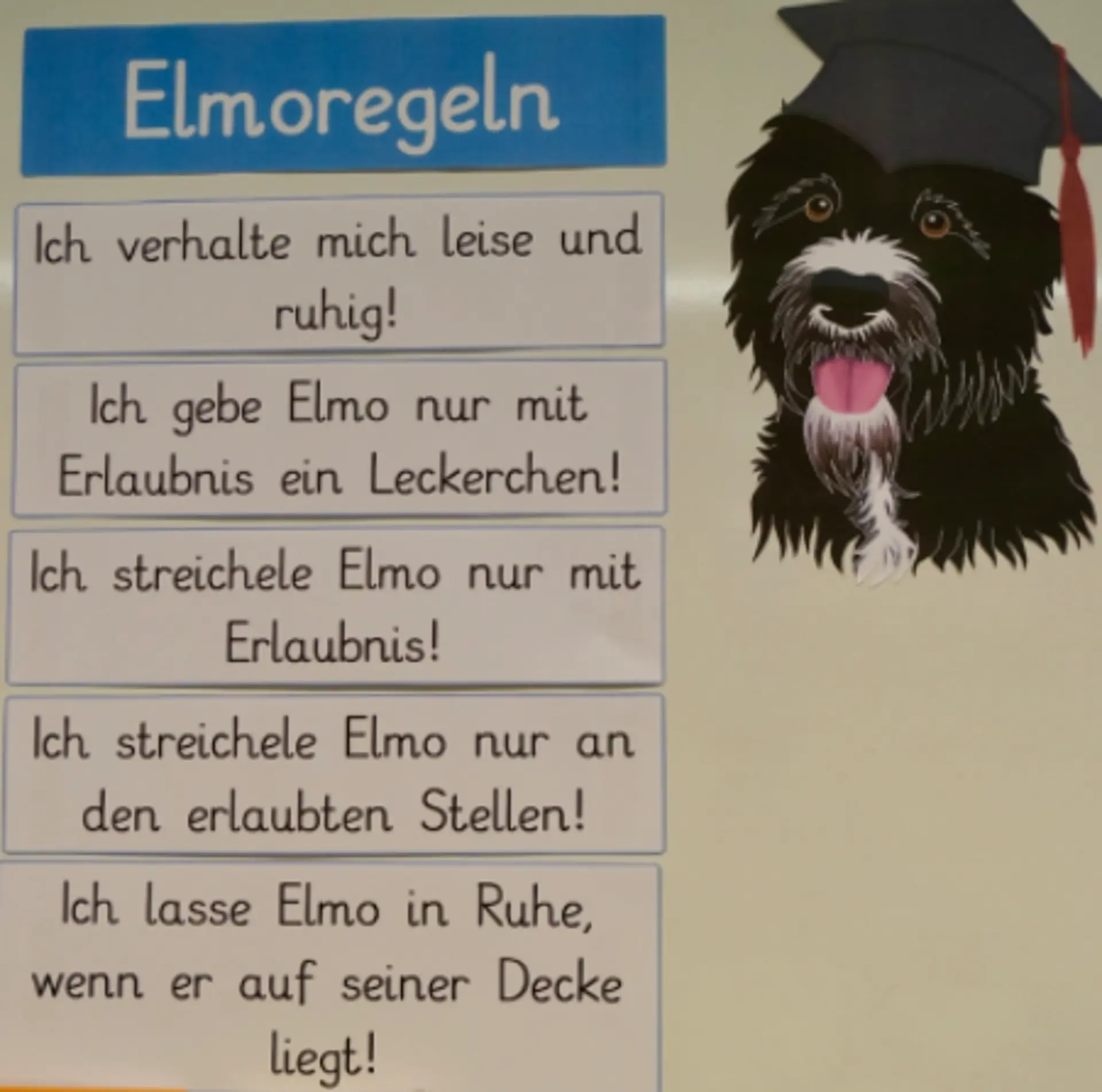 Plakat mit den aufgelisteten  Regeln für Schulhund Elmo. Diese besagen: Ich verhalte mich leise und ruhig. Ich gebe Elmo nur mit Erlaubnis ein Leckerchen. Ich streichele Elmo nur mit Erlaubnis. Ich streichele Elmo nur an den erlaubten Stellen. Ich lasse Elmo in Ruhe, wenn er auf seiner Decke liegt. 