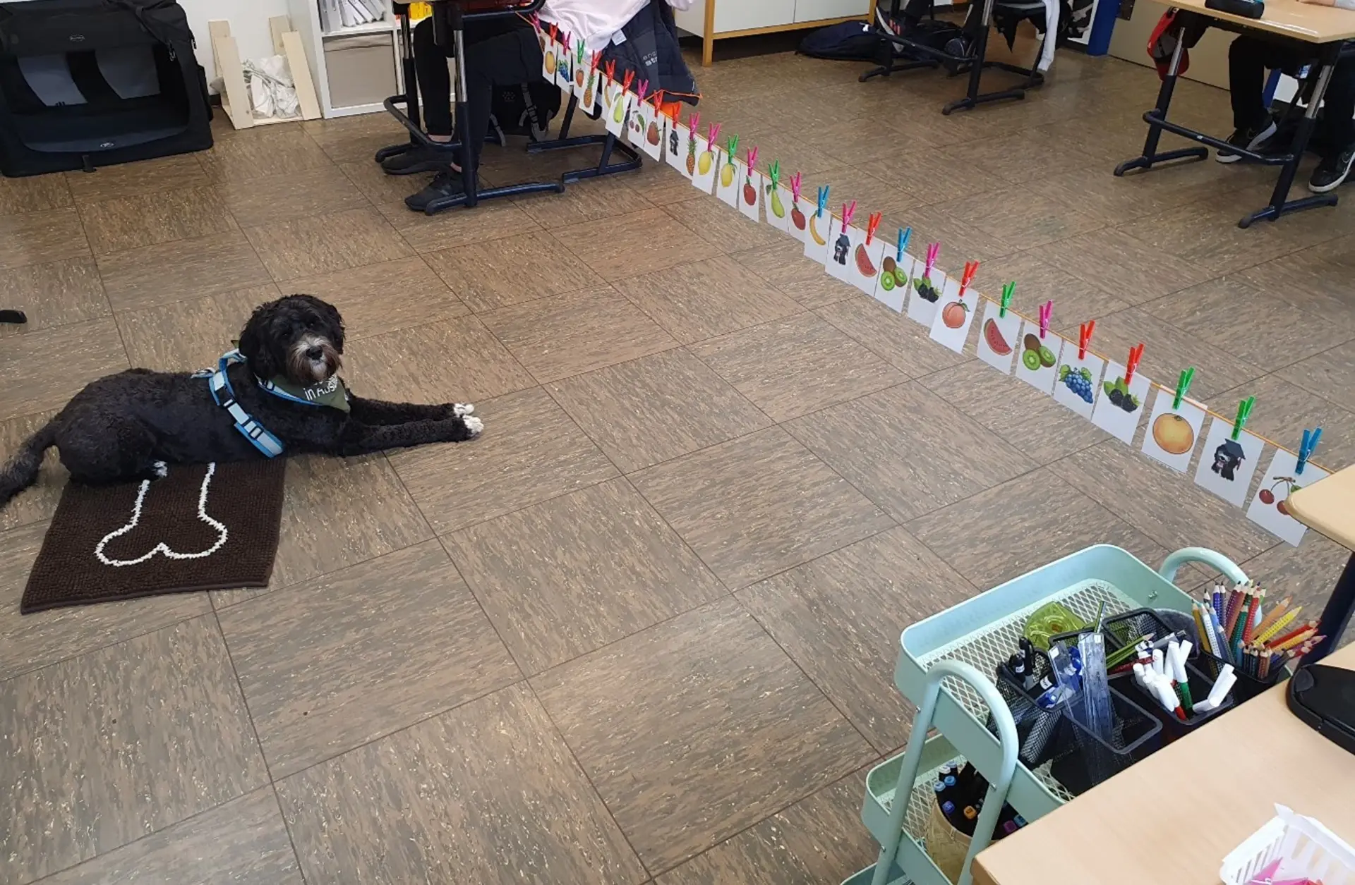 Schulhund Elmo liegt auf dem Boden im Klassenraum