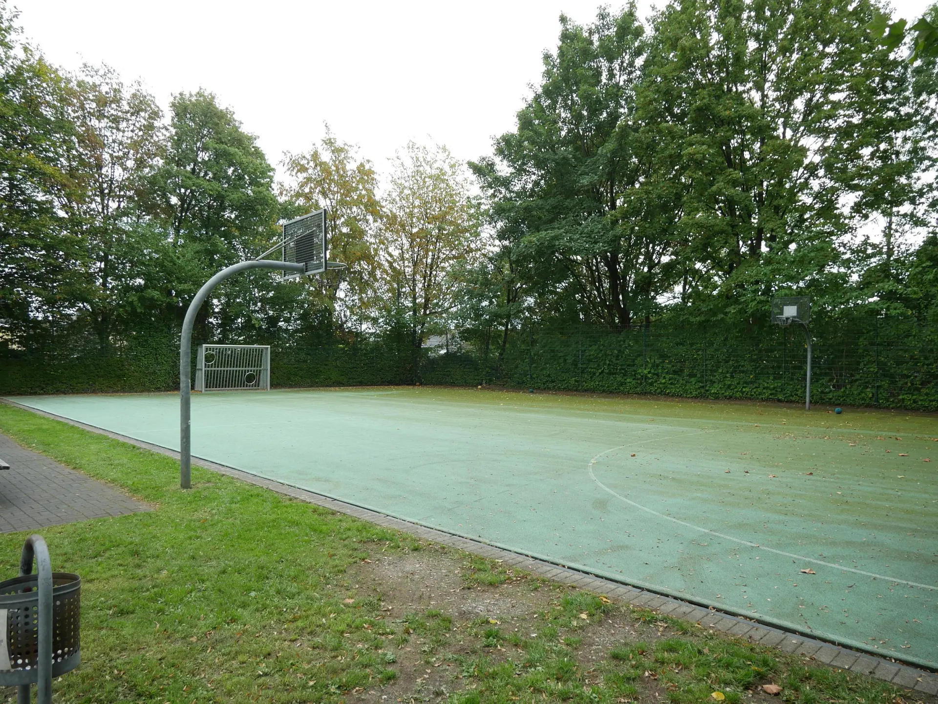 Ein Kunstrasensportplatz im Freien mit Basketballkorb und Fußballtor, umgeben von Bäumen und Büschen.