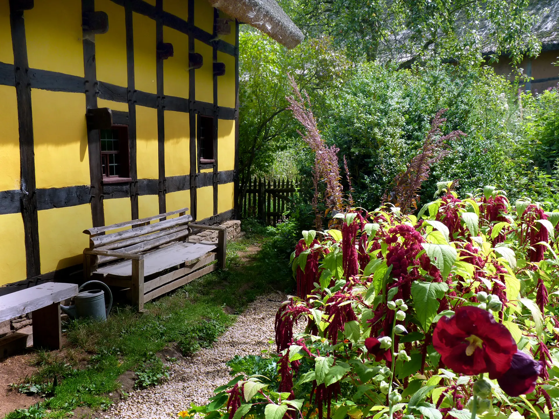 Das Bild zeigt die Wand eines gelben Fachwerkhauses mit einer Holzbank davor. Auf der rechten Seite sind Hüfthohe rote Blumen zu sehen.