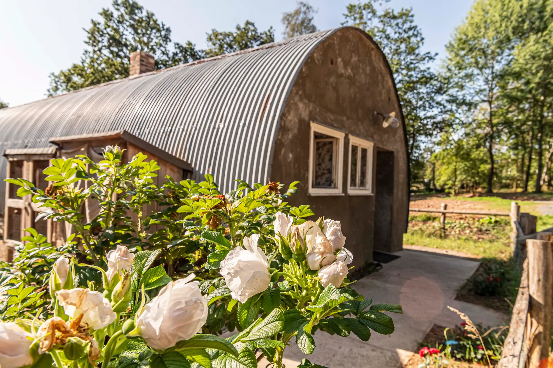 das Foto zeigt die Nissenhütte im Museum. Es ist eine tonnenförmige Wellblechhütte mit einer Tür und zwei Fenstern auf der Vorderseite. Im Vordergrund des Bildes blühen blassrosa Blumen.