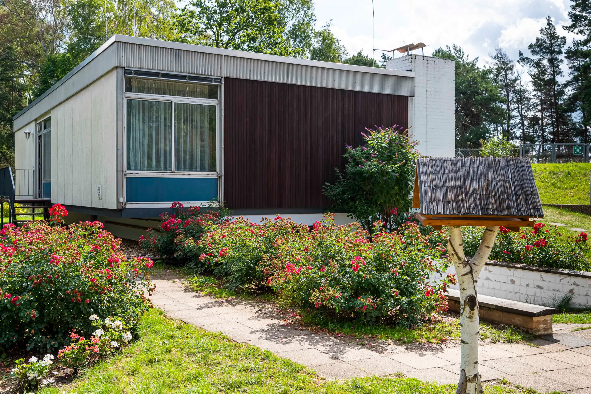 Das Foto zeigt einen weißen Bungalow mit einem großen Fenster und dunkler Holzverkleidung daneben. Vor dem Bungalow sind Rosenbüsche und ein Vogelhaus zu sehen.