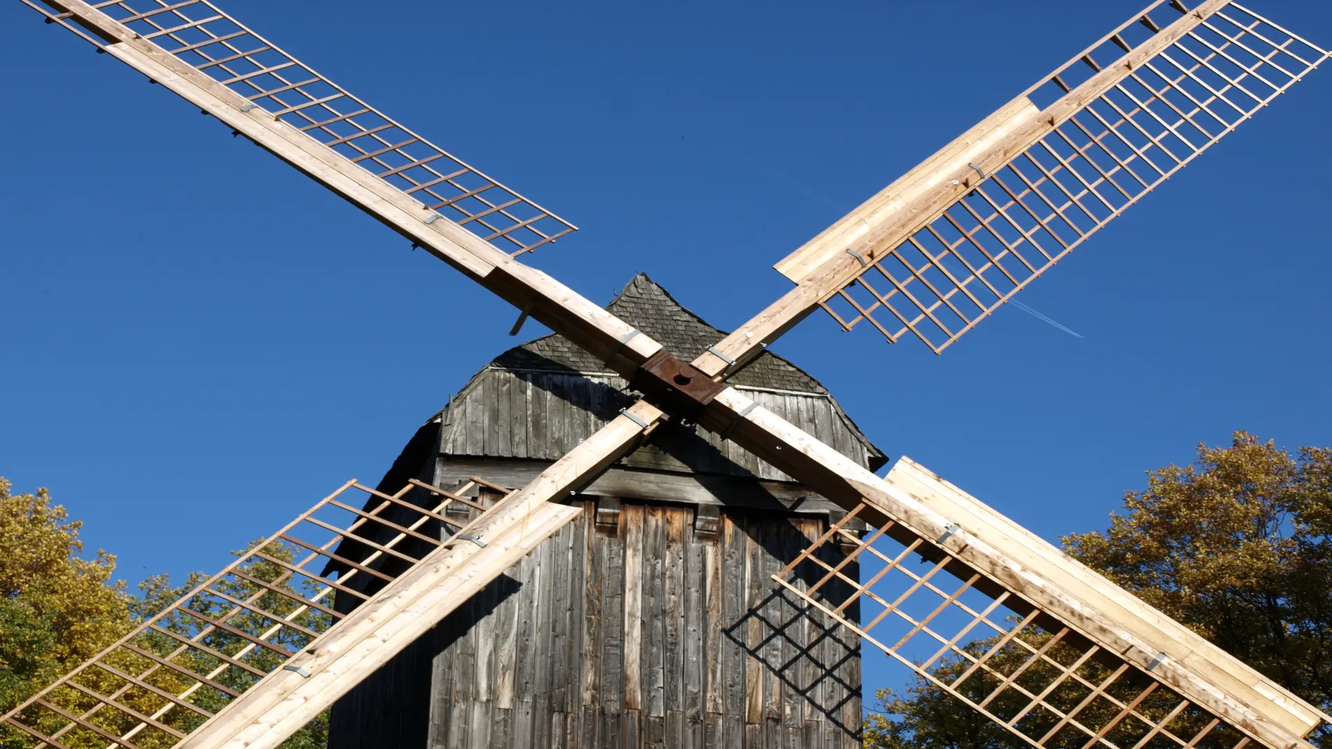Die Kappenwindmühle in der Baugruppe Niederrhein, davor ein Esel.