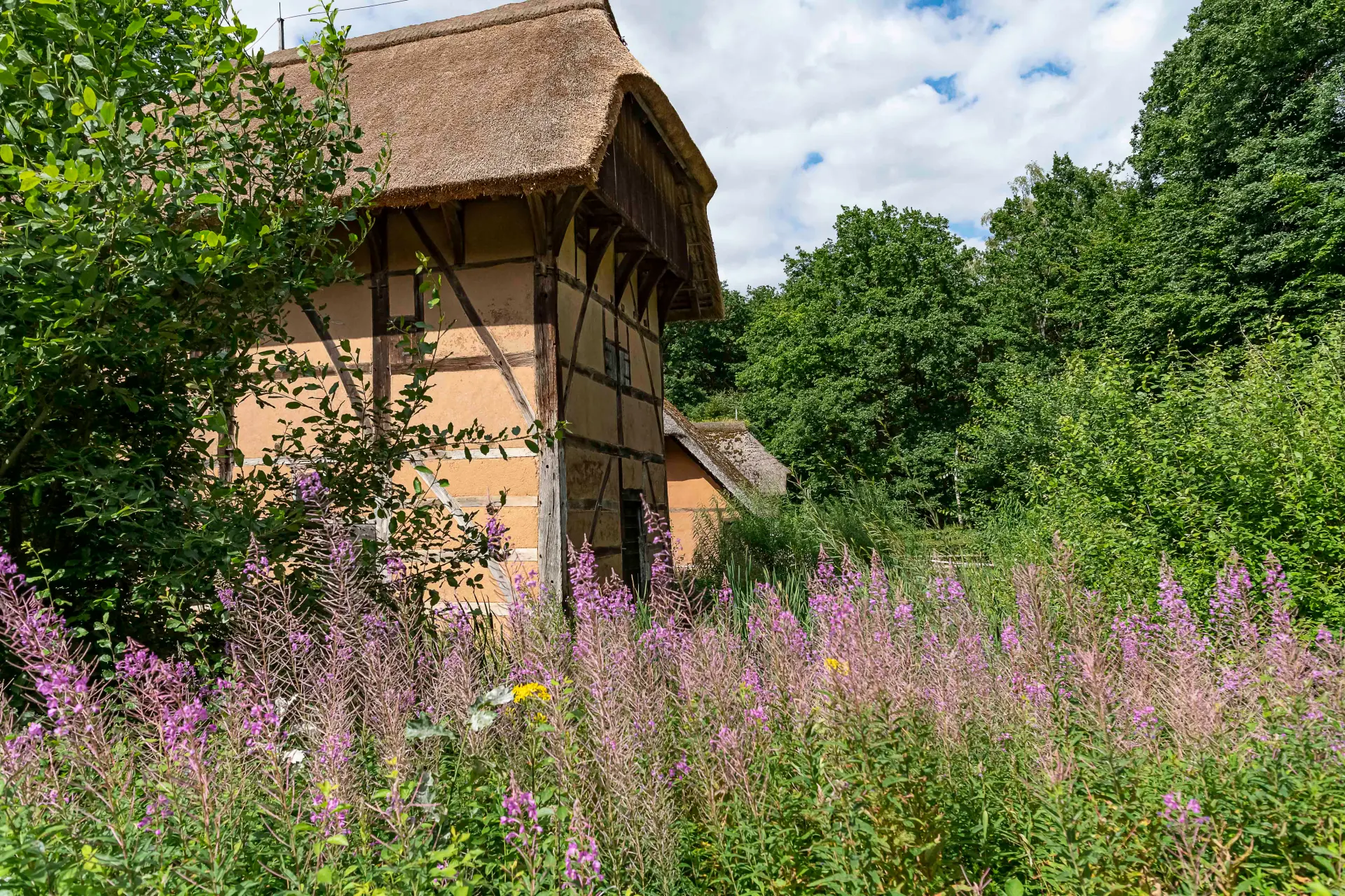 Fachwerkhaus mit Strohdach umgeben von hohem wildem Gras und blühenden Pflanzen vor bewaldetem Hintergrund.