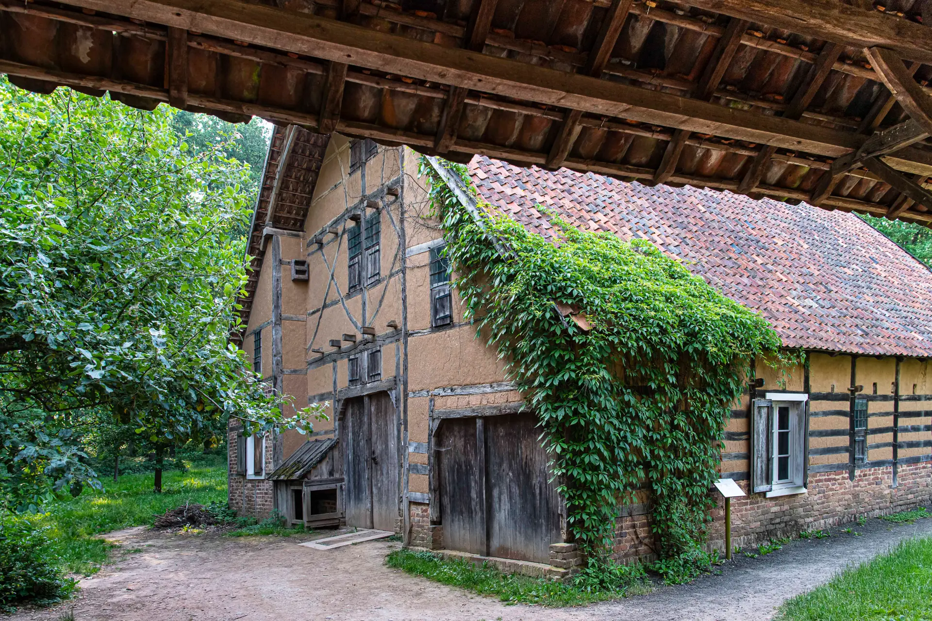 Fachwerkhaus mit Efeu bewachsen unter einem Holzdachvorsprung in ländlicher Umgebung.