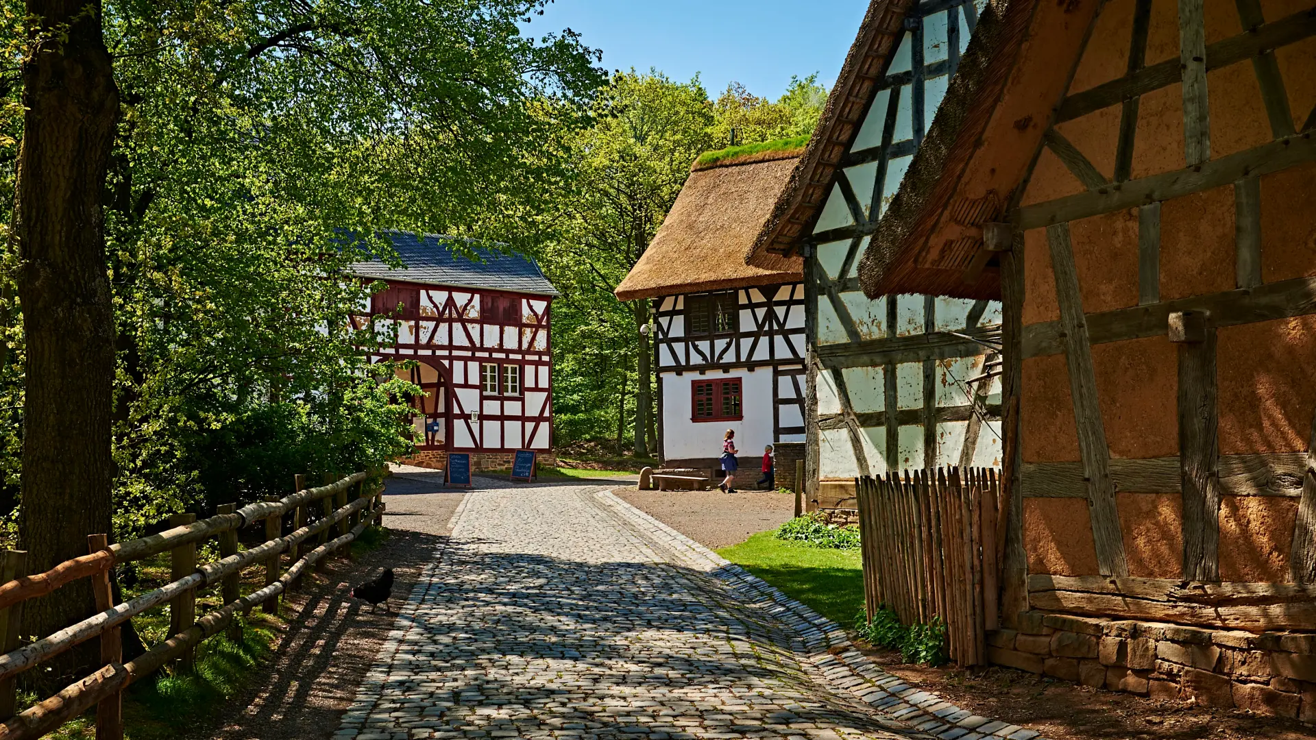 Foto: Straße durch die Baugruppe Westerwald mit drei Fachwerkhäusern.