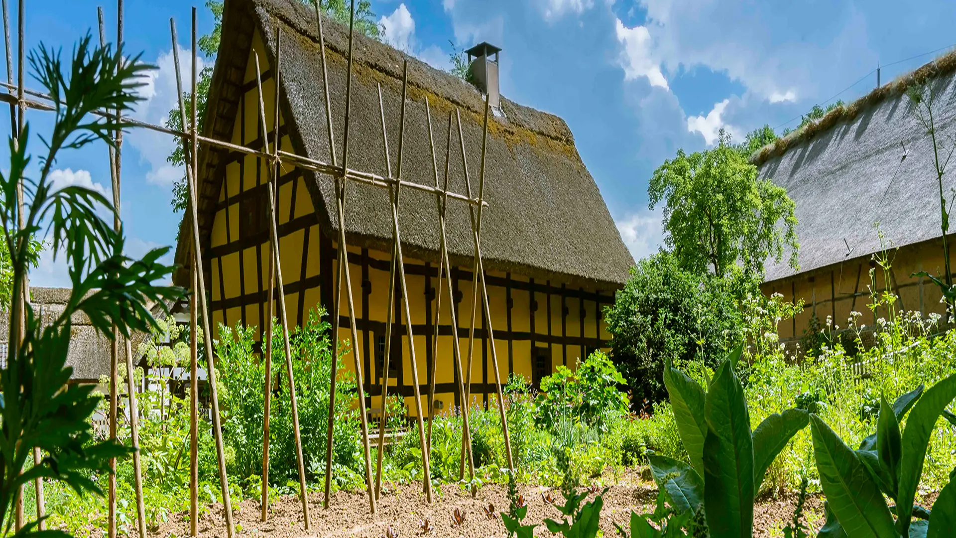 Fachwerkgebäude mit gelben Gefachflächen, dunklem Holzbalkenwerk und steilem Reetdach. Vor dem Haus befindet sich ein Nutzgarten mit mehreren Reihen von Gemüsepflanzen, Kräutern und weiteren Gewächsen. Holzstangen dienen als Rankhilfen für Kletterpflanzen.