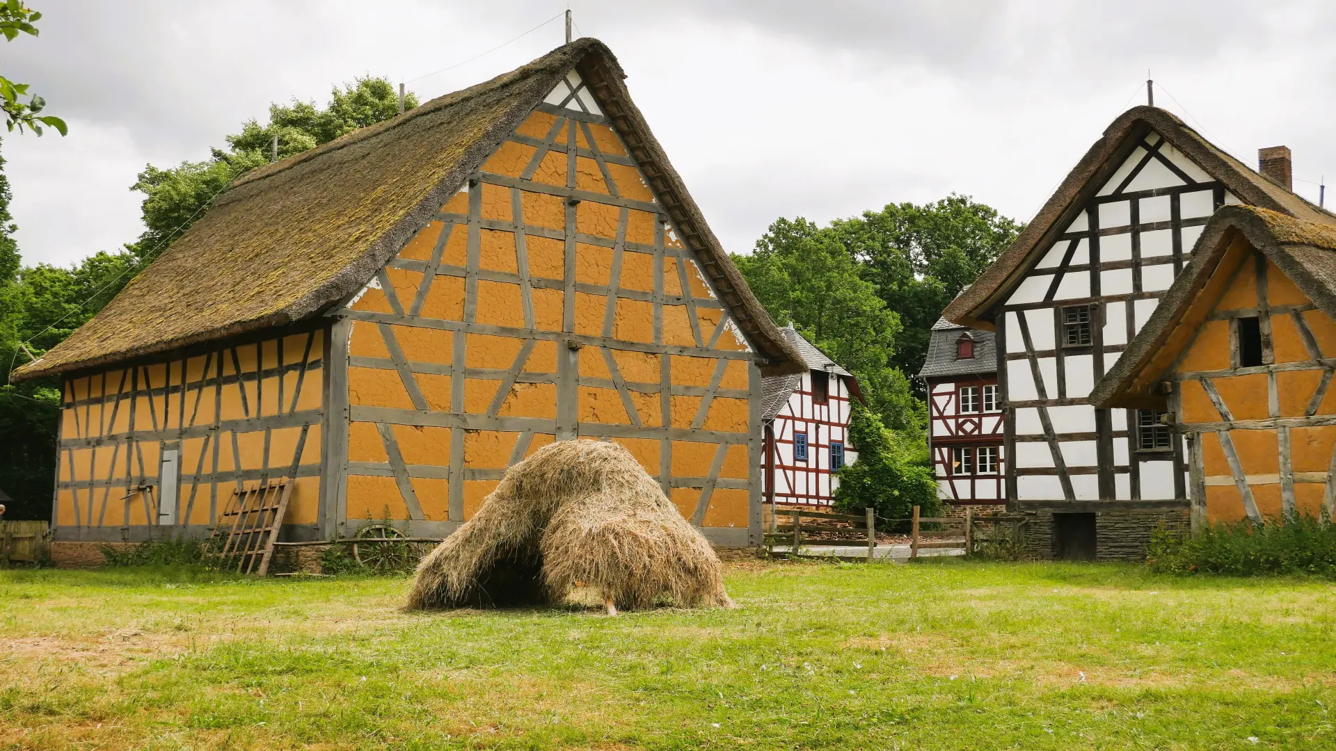 Fachwerkhäuser, im Vordergrund Heuhaufen auf einer Wiese