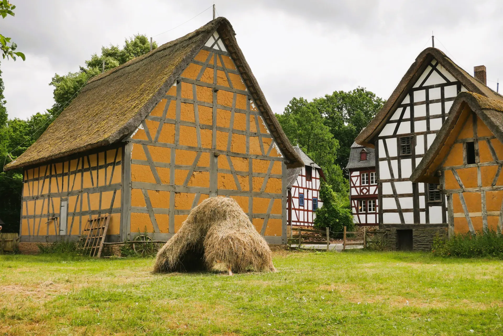Fachwerkhäuser, im Vordergrund Heuhaufen auf einer Wiese