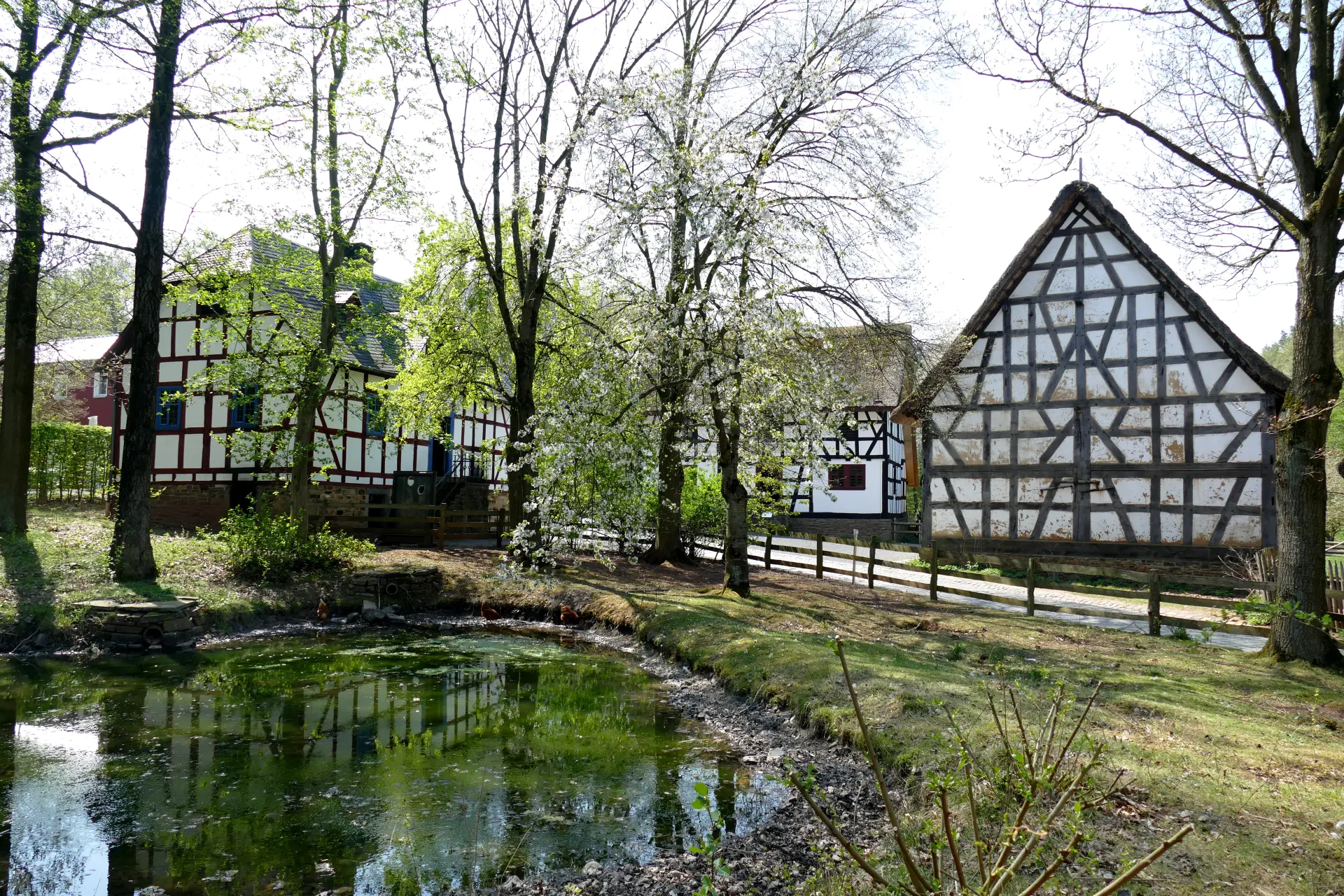Das Foto zeigt im Vordergrund einen Teich, an dem dahinter mehrere Bäume wachsen. Hinter den Bäumen sind Fachwerkhäuser zu sehen.