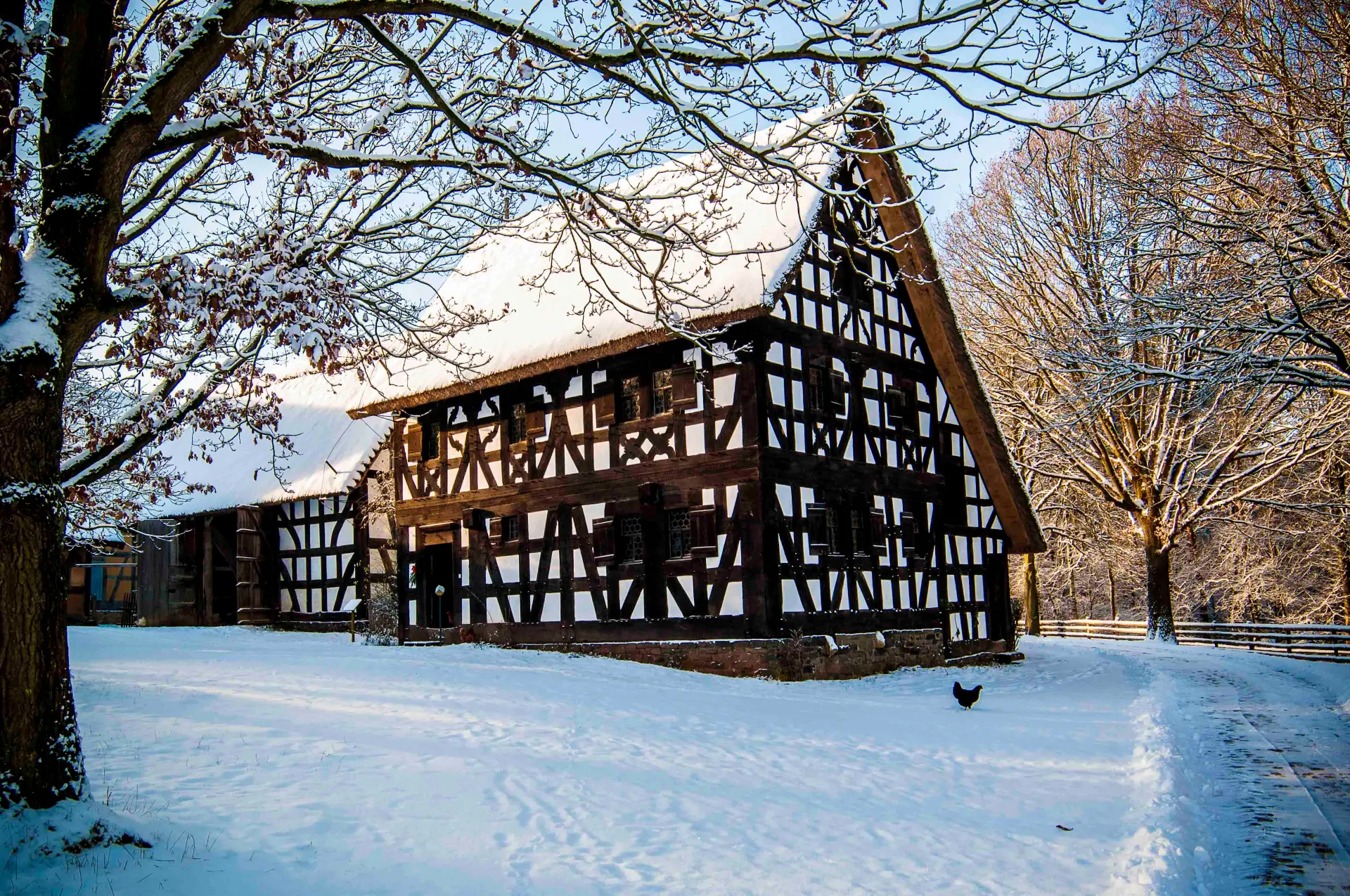 Das Foto zeigt ein Fachwerkhaus im Schnee. Das Dach ist hinten weiter herunter gezogen als vorne am Haus. Rechts vorne läuft ein schwarzes Huhn am Haus vorbei.